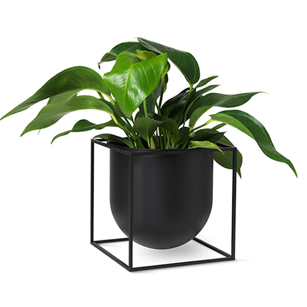 KUBUS black planter