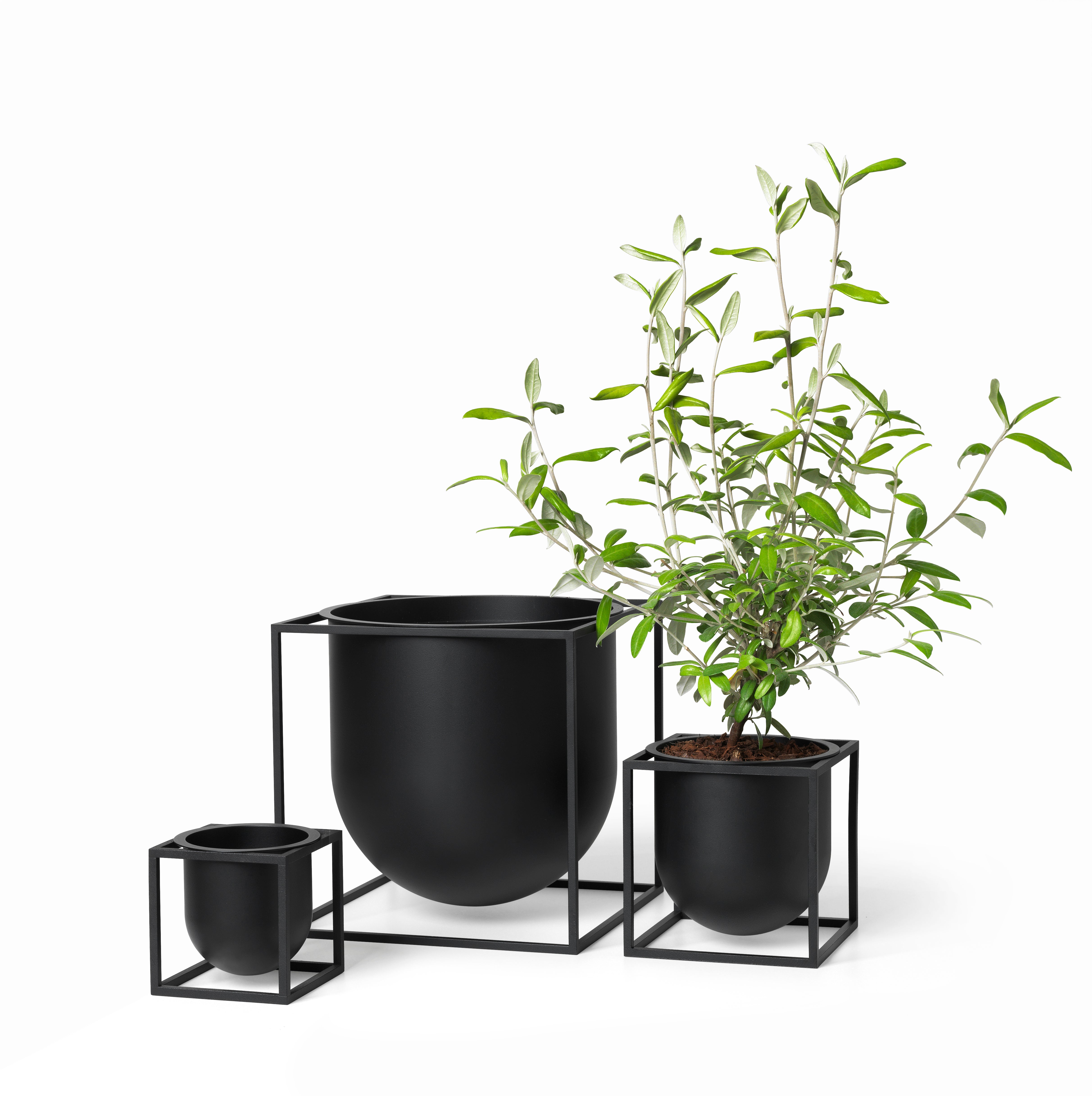 KUBUS black planter