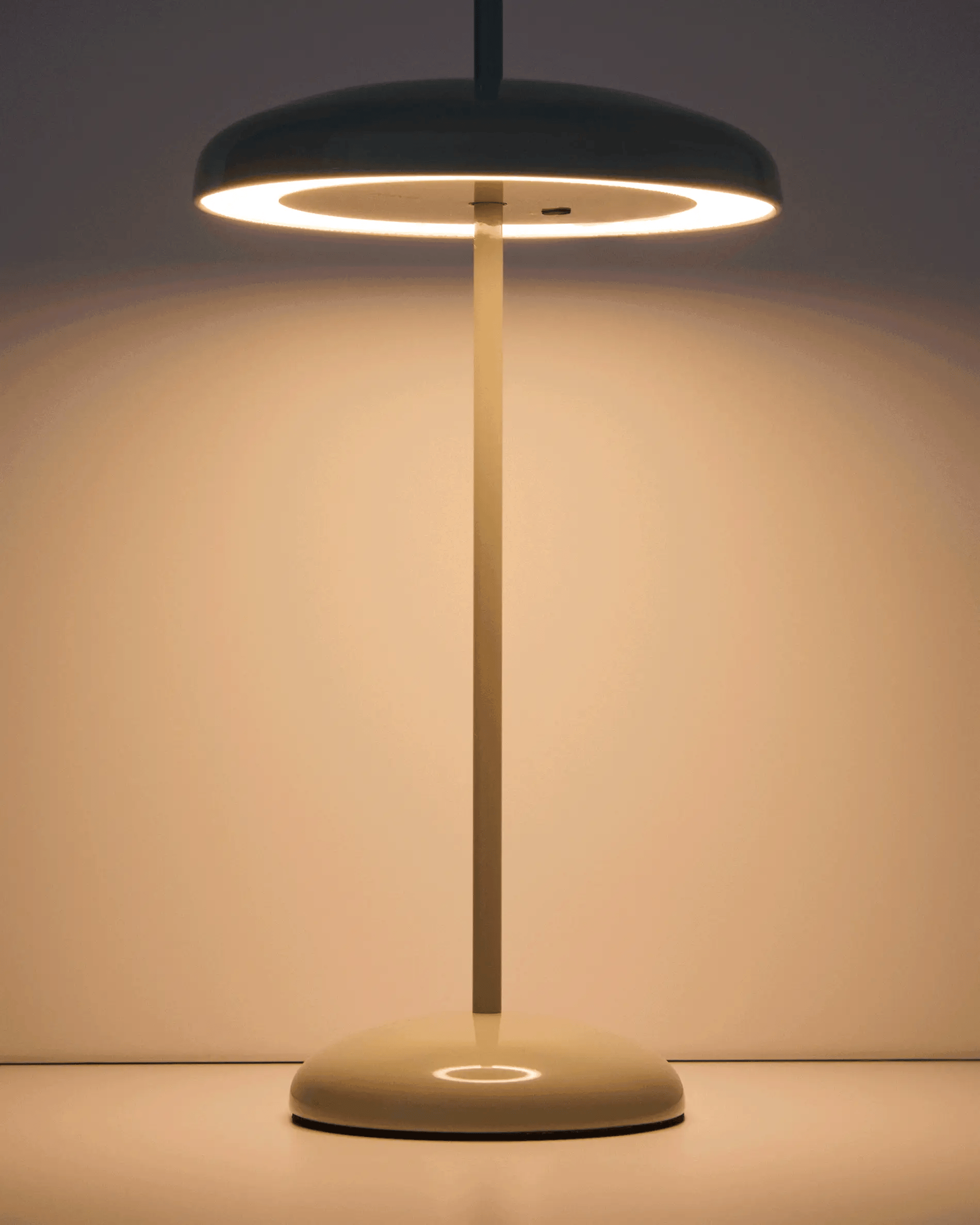 Přenosná lampa PORTE mátová