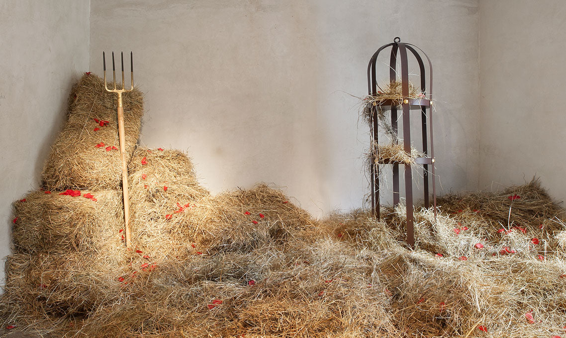 LA GABIA Brown Shelf