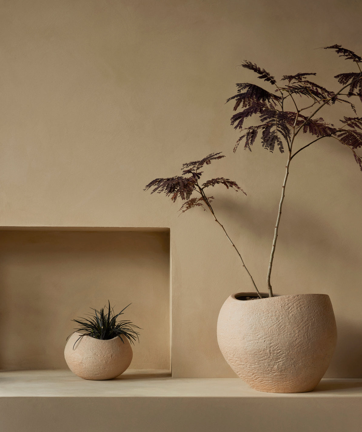 PLANTAS planter