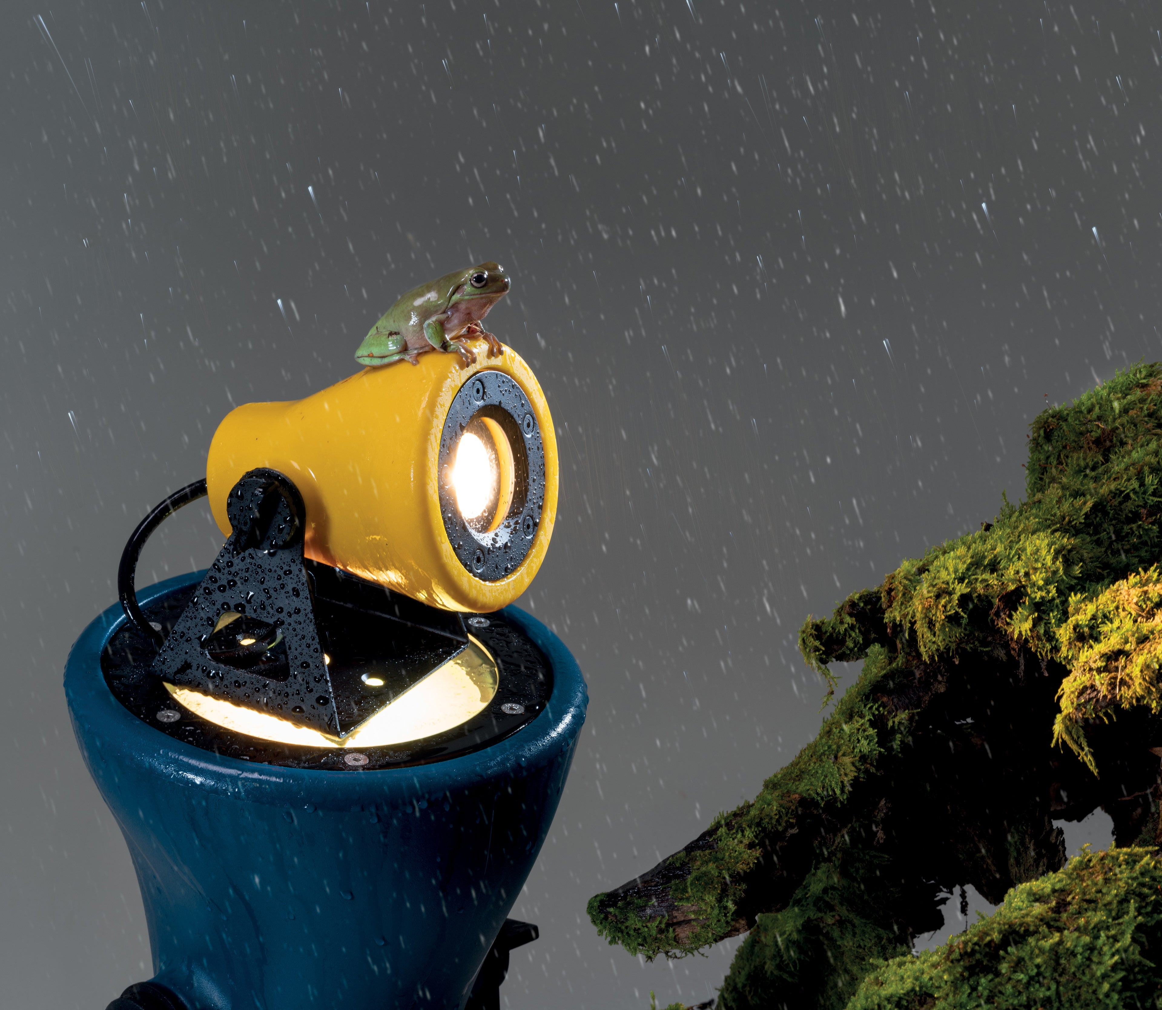 Lampa ścienna zewnętrzna FROG niebieski