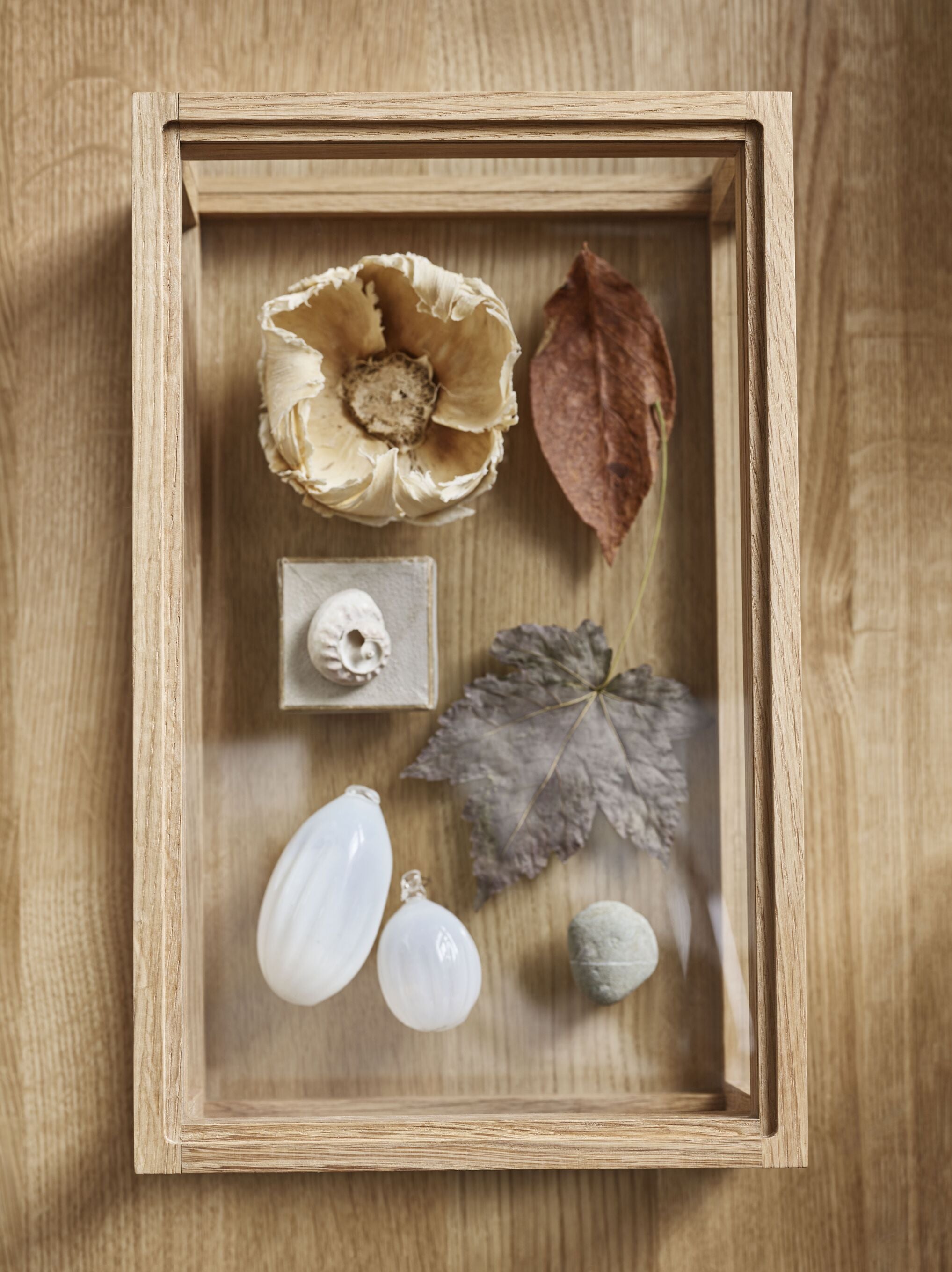 Dekorativní box NORIE z dubového dřeva