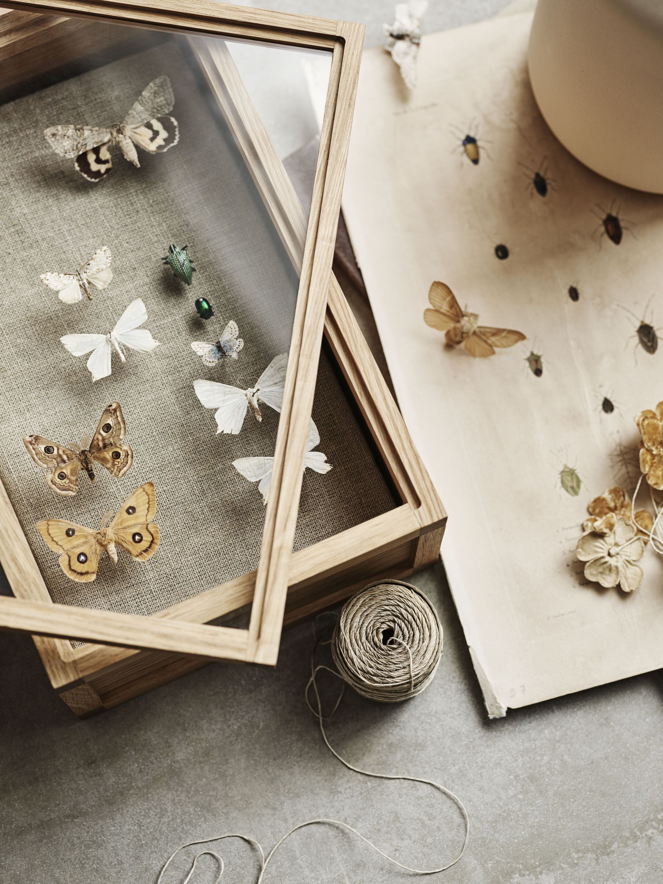 Dekorativní box NORIE z dubového dřeva