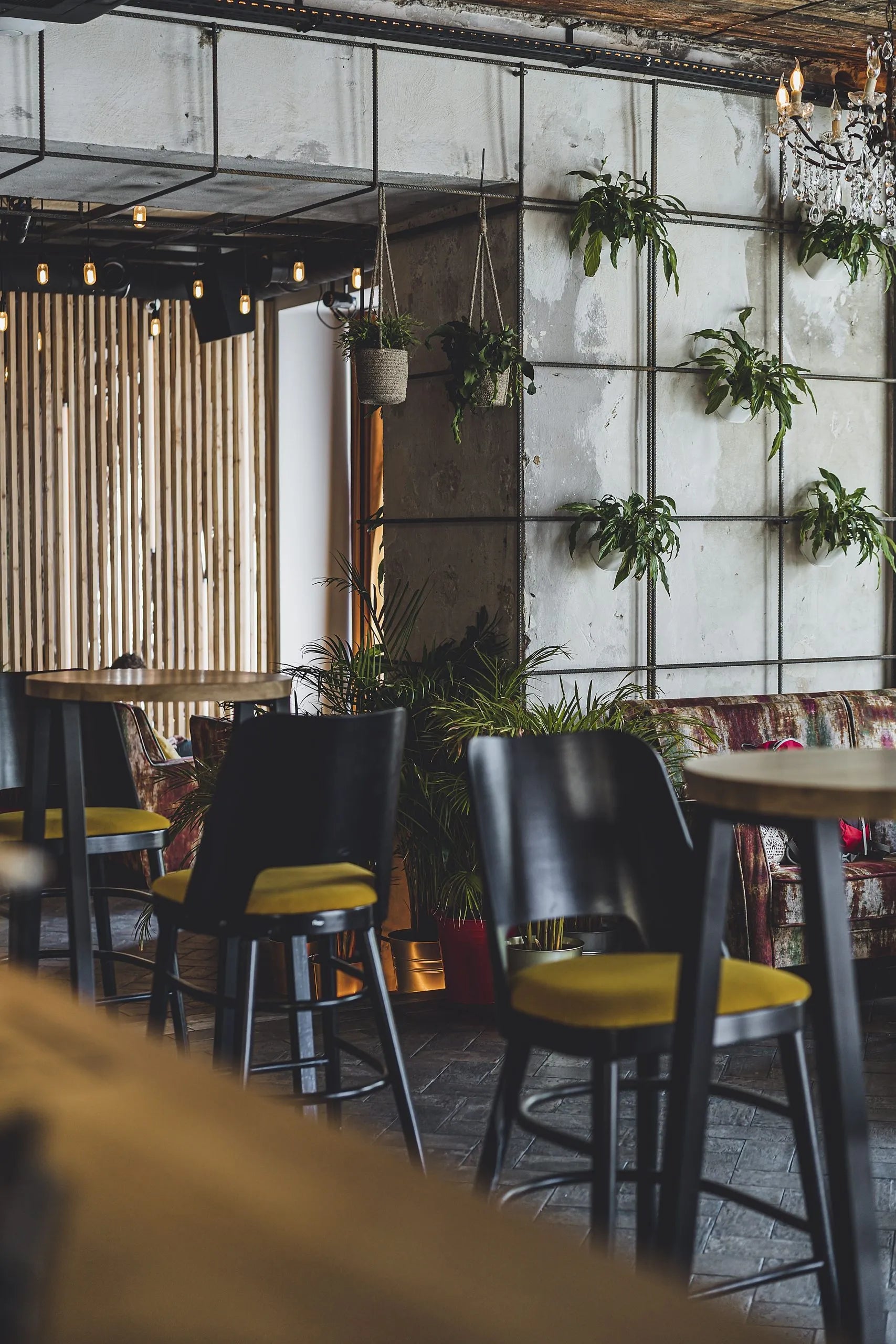 Hoker SHELL A-0043 bukové dřevo