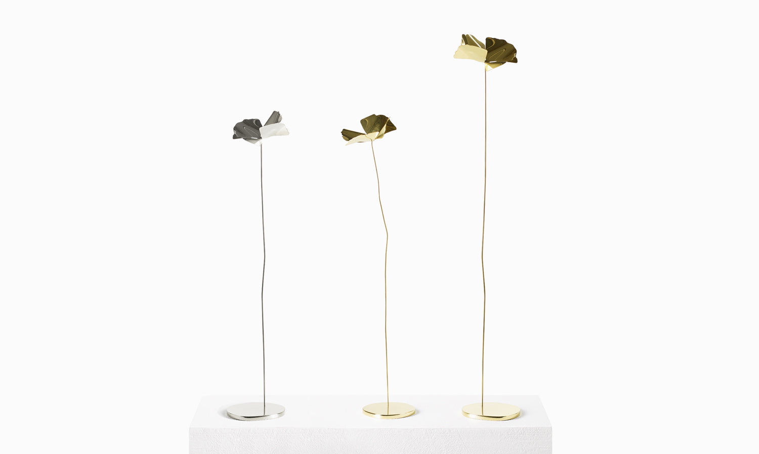 Dekorace PAPAVERO zlatá