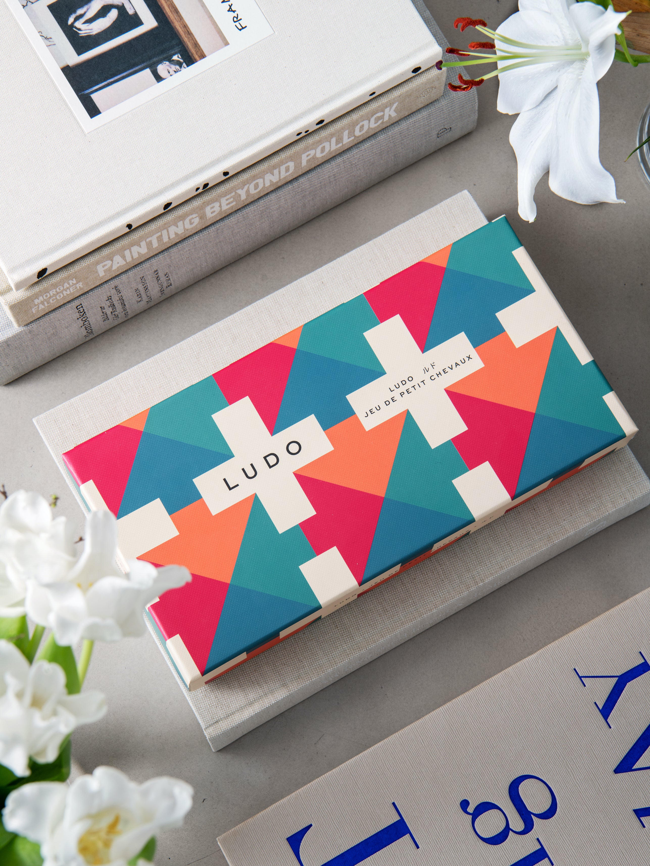 Herní deska LUDO vícebarevná