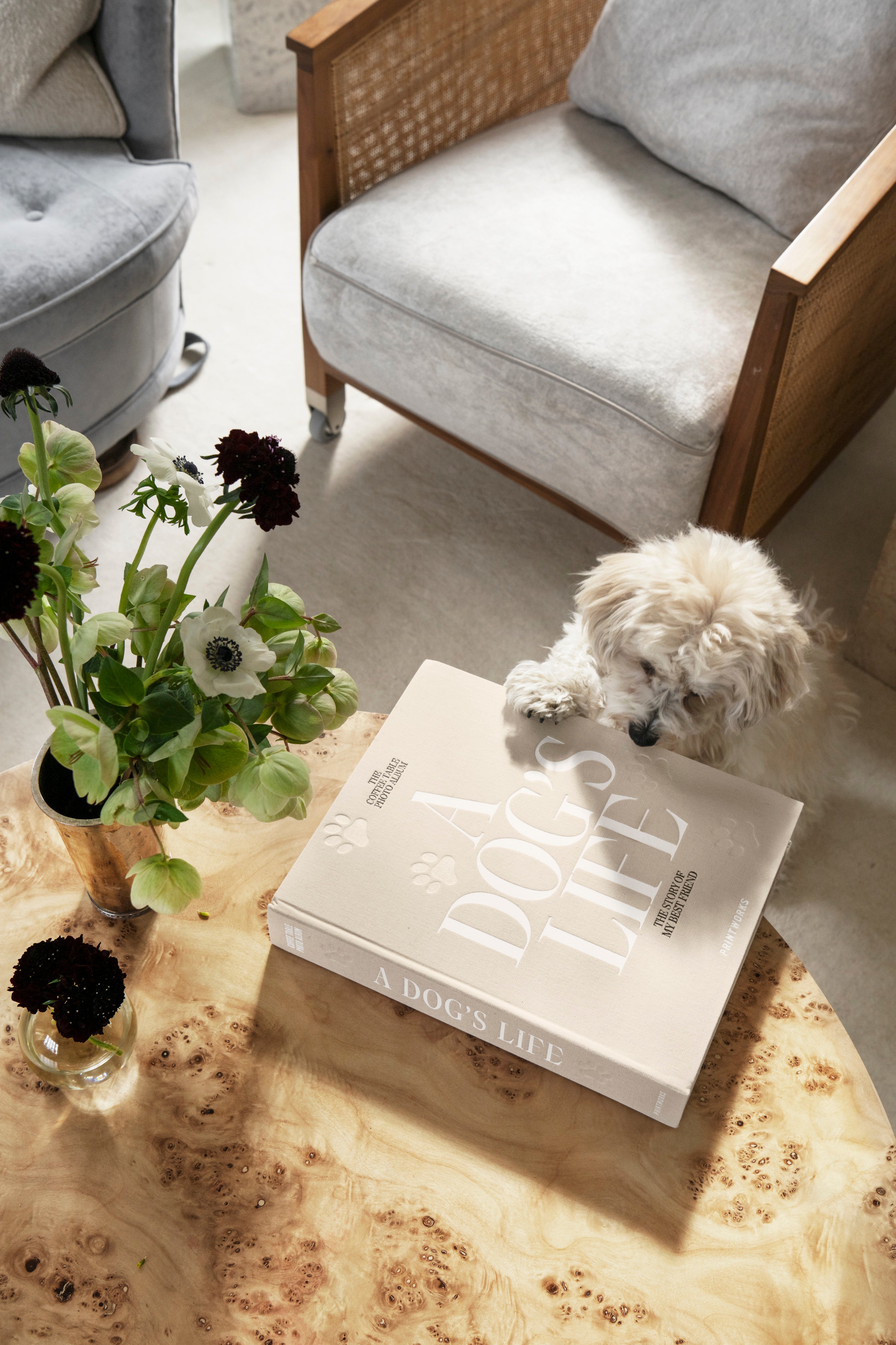 A DOG'S LIFE Photo Album Beige