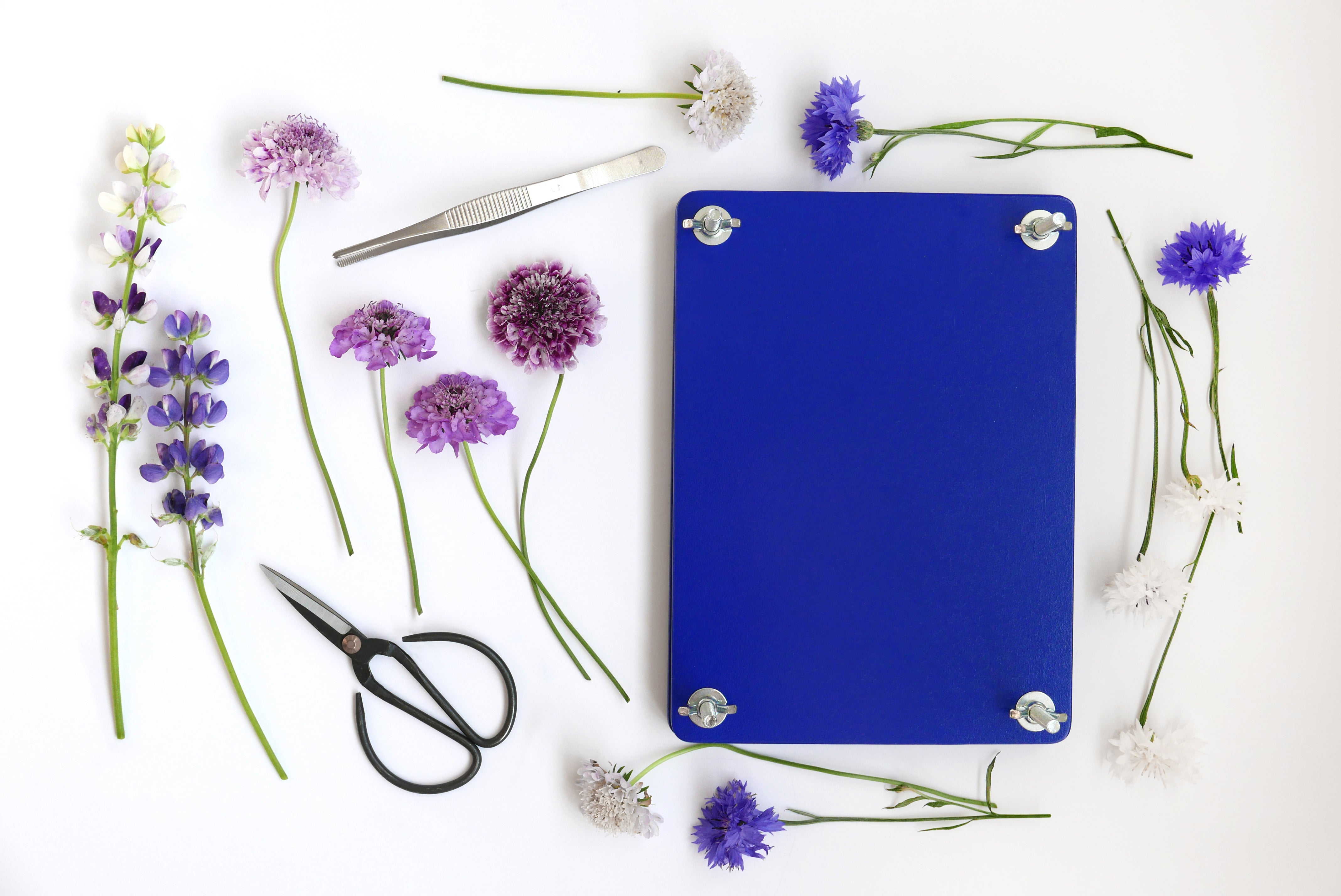 Sada na sušení květin FLOWER PRESS SET modrá