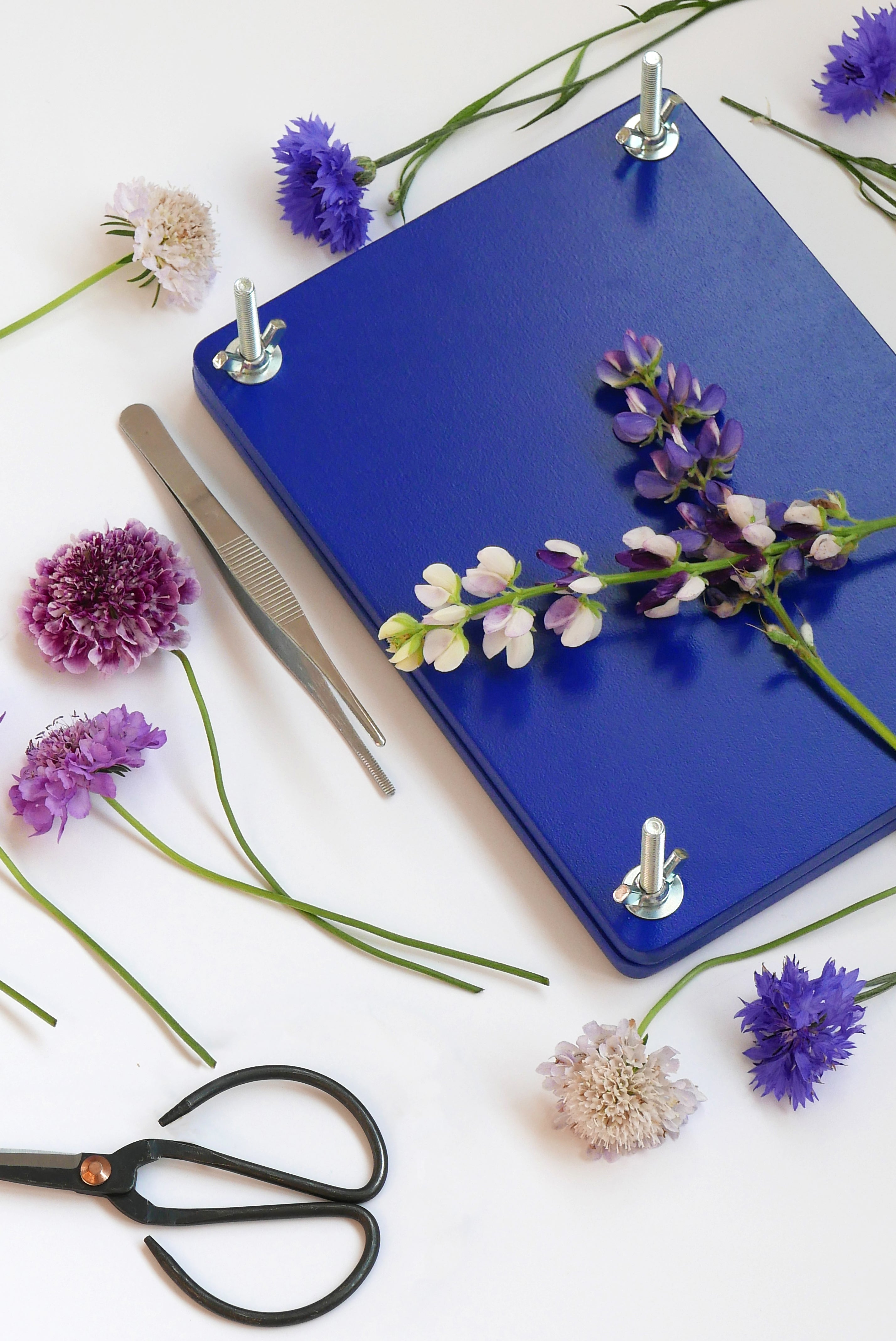 Sada na sušení květin FLOWER PRESS SET modrá