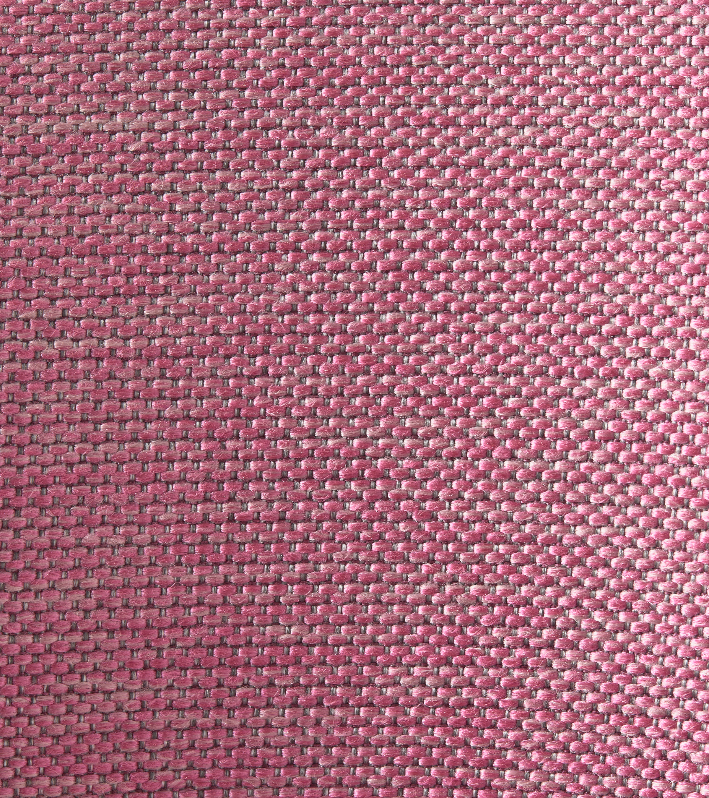 Židle HOLY růžová