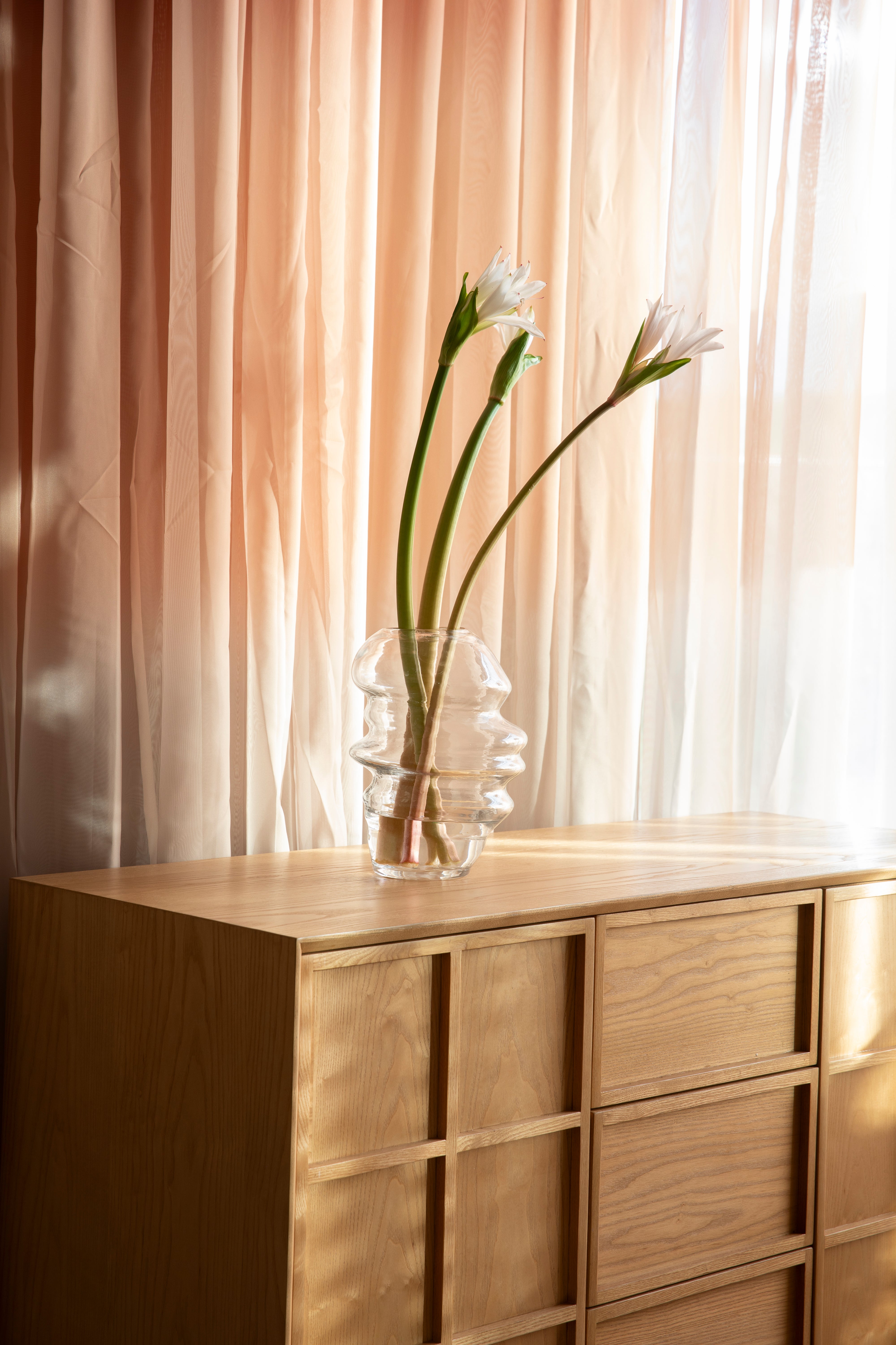 Komoda RASTER jasanový dýha