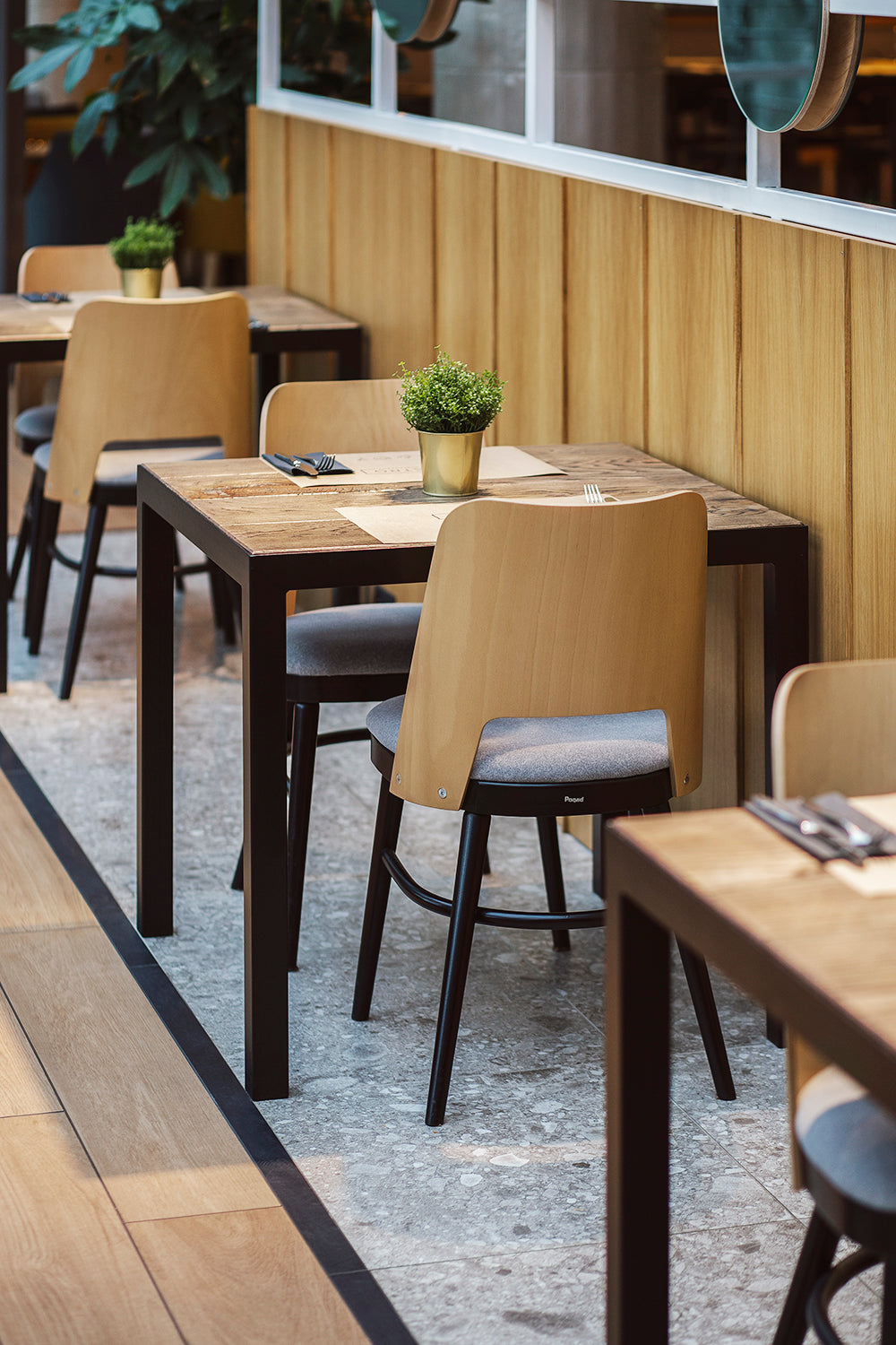 Židle SHELL A-0043 bukové dřevo