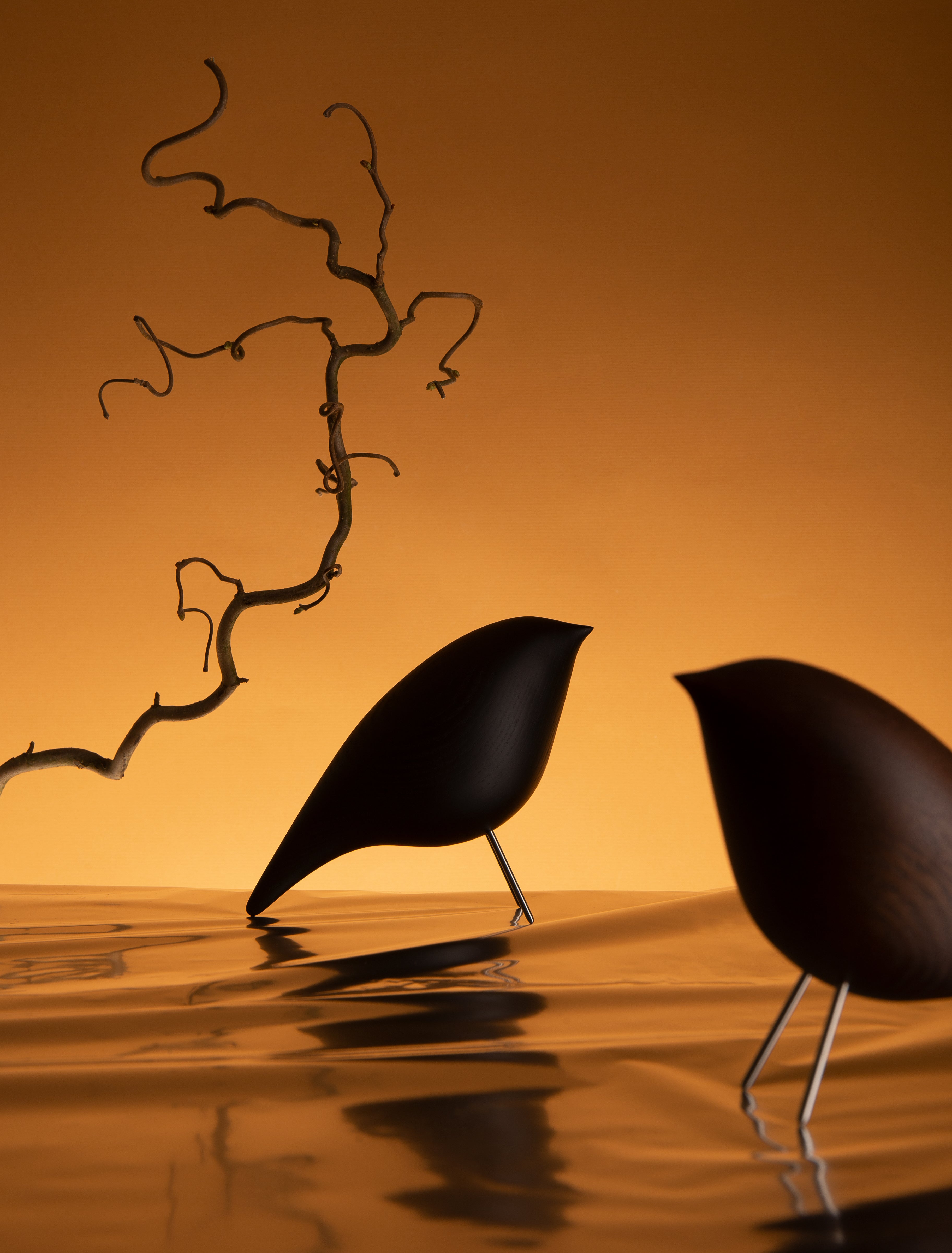 Dekorativní figurka TWEETY DECORATIVE BIRD černý jasan