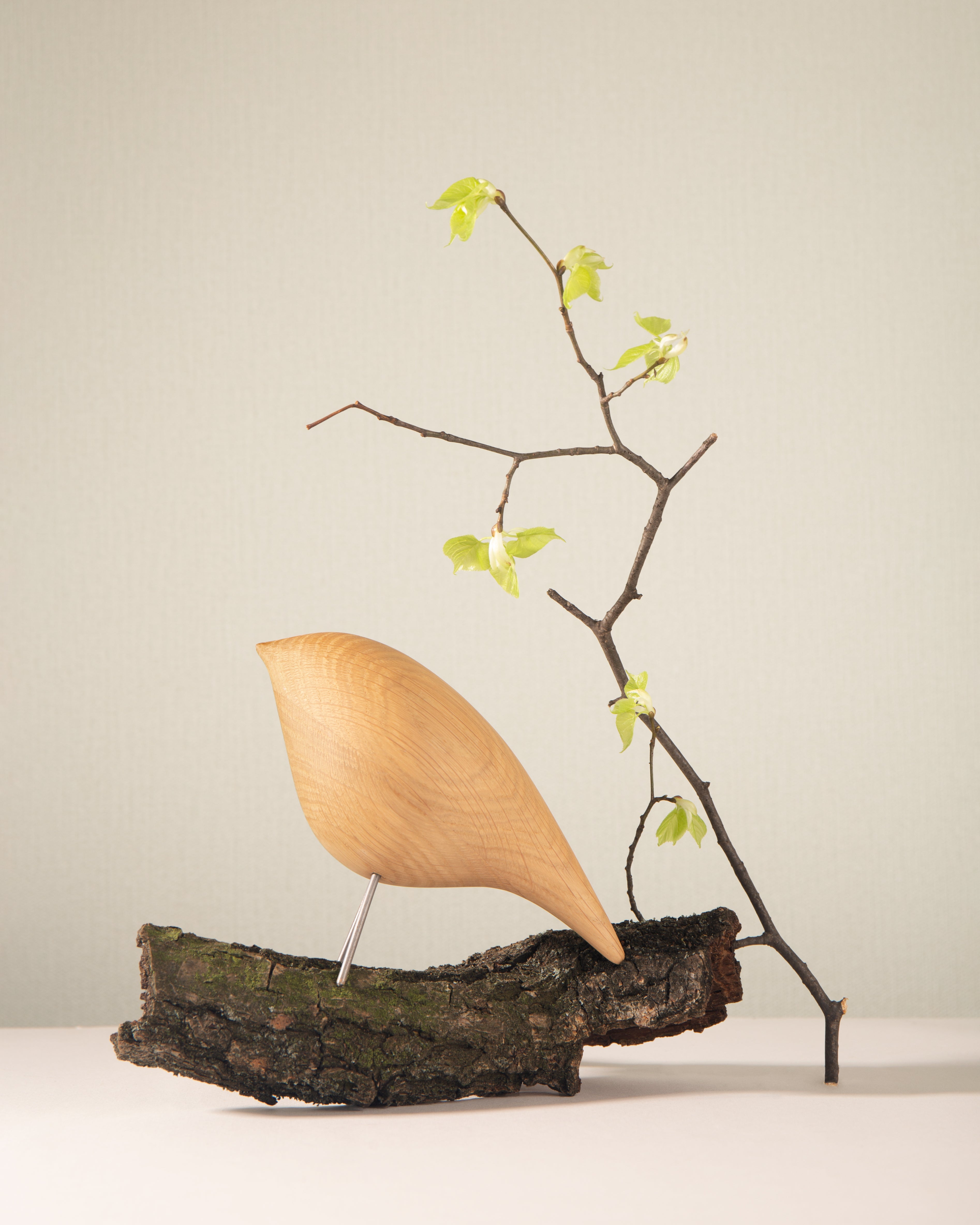 Dekorativní figurka TWEETY DECORATIVE BIRD přírodní dub