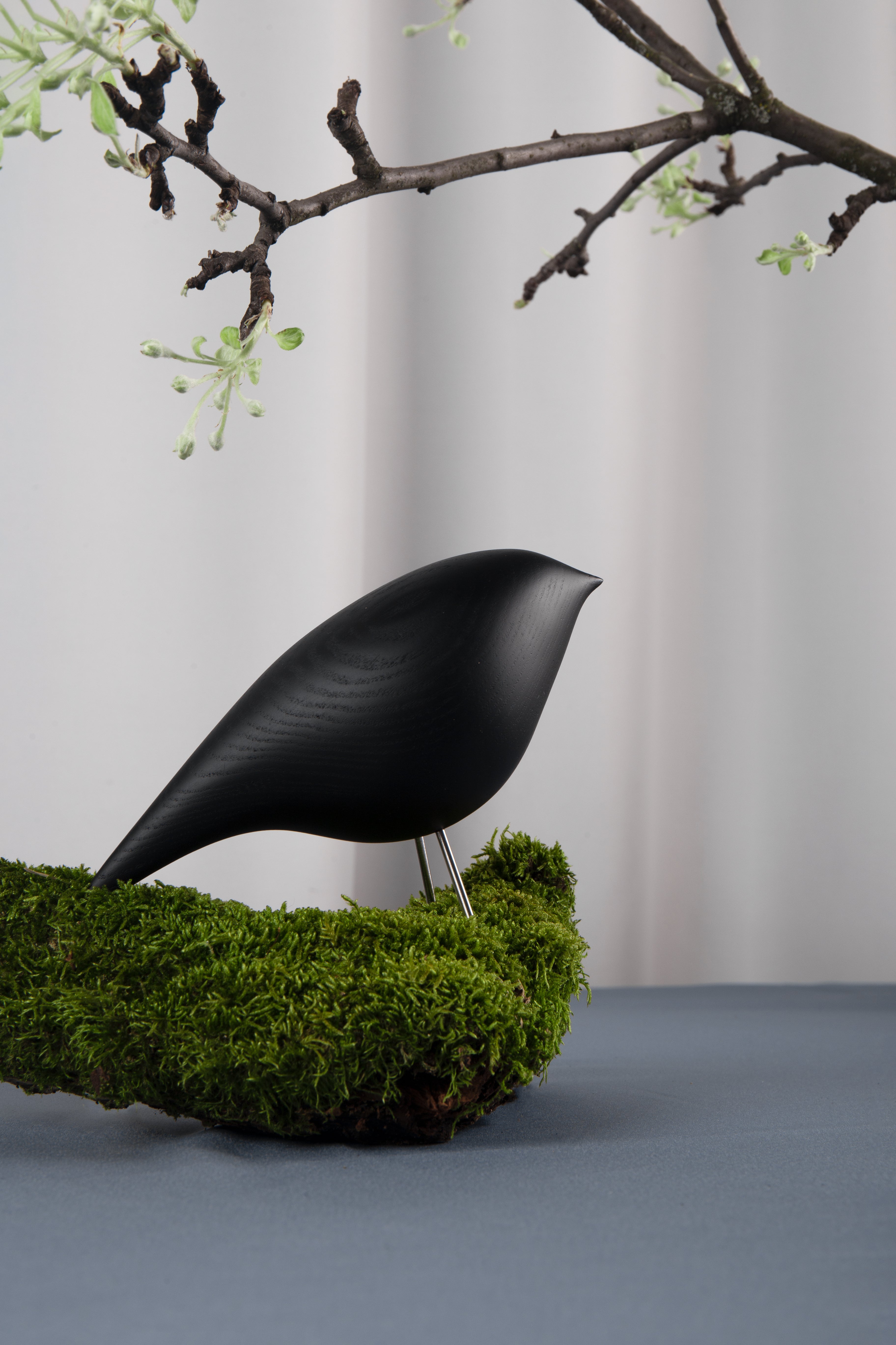 Dekorativní figurka TWEETY DECORATIVE BIRD černý jasan