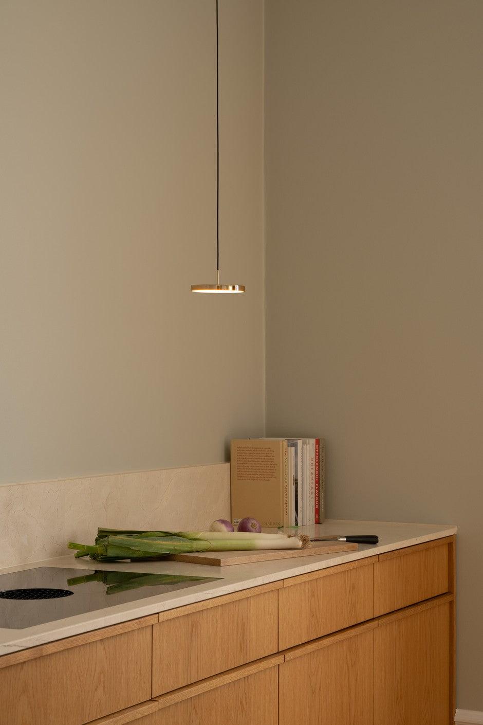 Asteria Micro Monochrome Pendant Lamp Gold