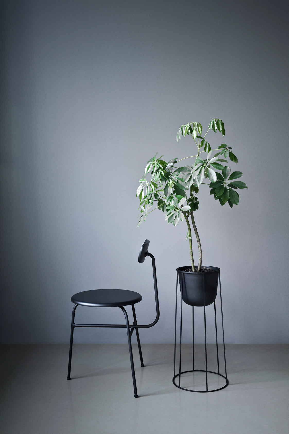 AFTEROOM chair dark oak veneer with upholstered beige seat