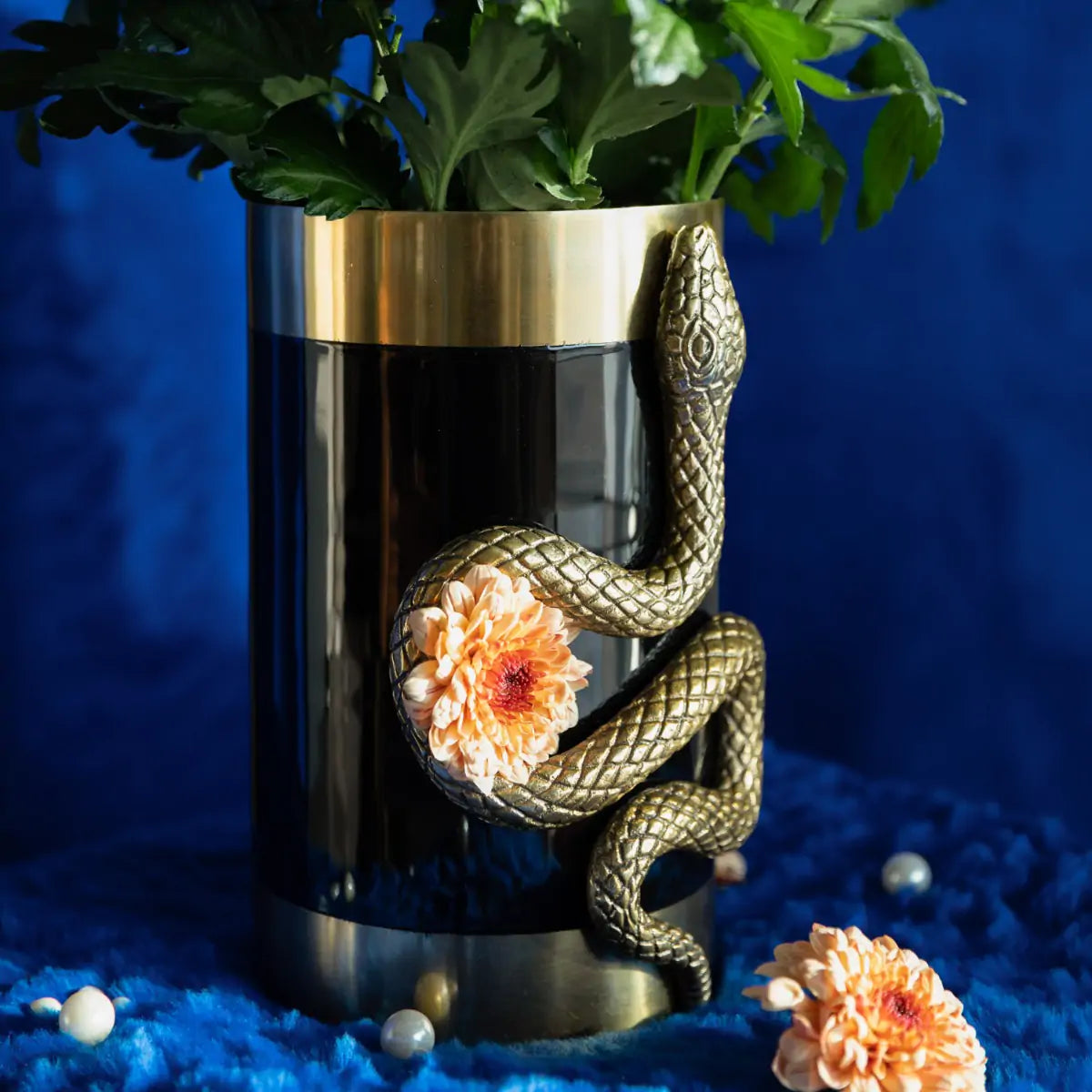 NEVER HURT A SNAKE VASE black with gold