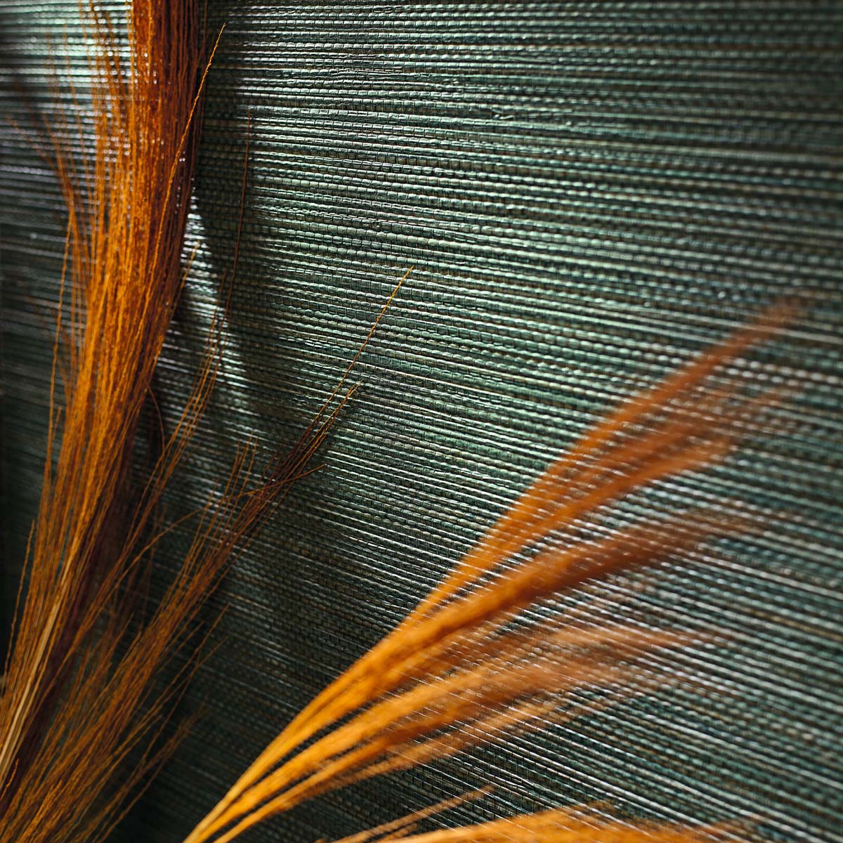 Structural wallpaper imitating seagrass fibers ZOSTERA - COQUILLE sandy