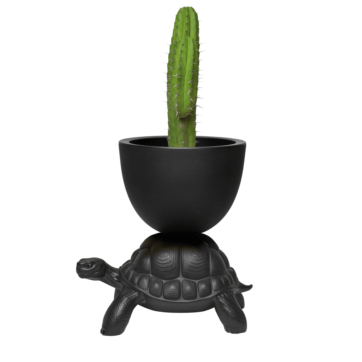 Doniczka TURTLE CARRY czarny Qeeboo    Eye on Design