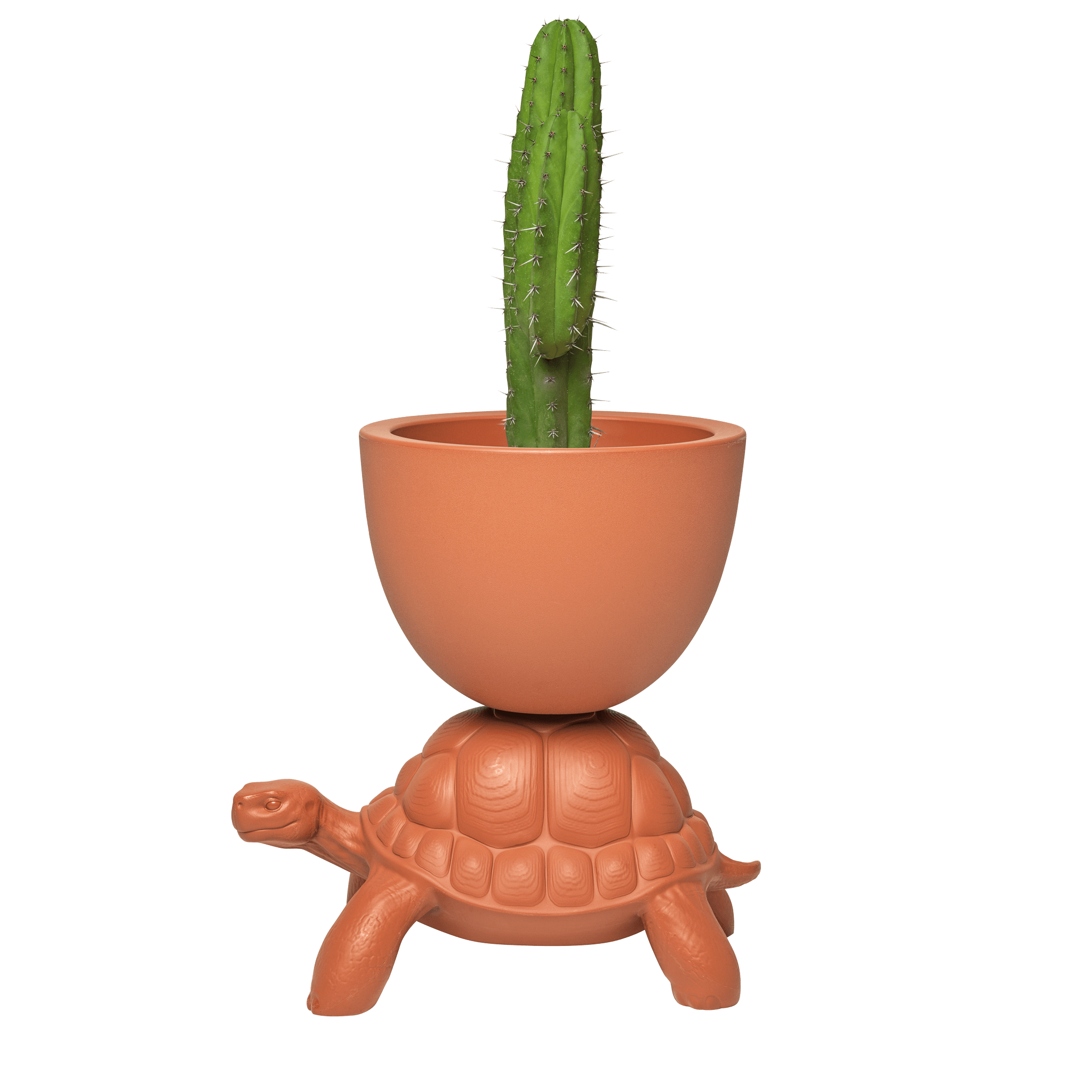 Doniczka TURTLE CARRY terakota Qeeboo    Eye on Design