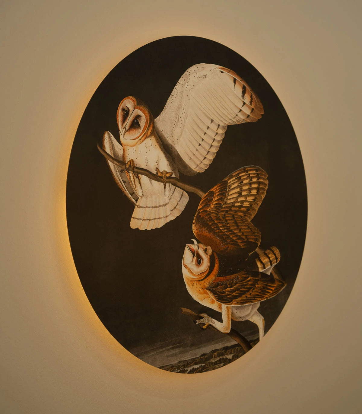 Lampa ścienna DOTS LIGHTING - OWLS ciemnoszary