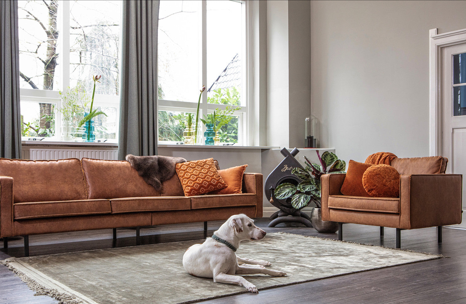 Rodeo Classic Khaki velvet armchair