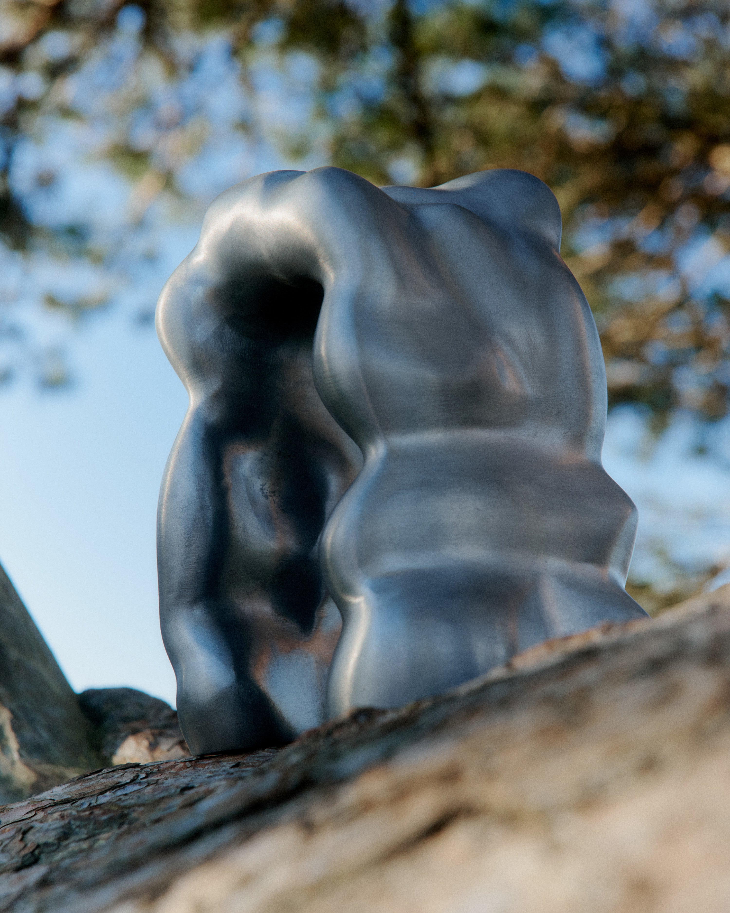 MORF SCULPTURE decoration brushed aluminum