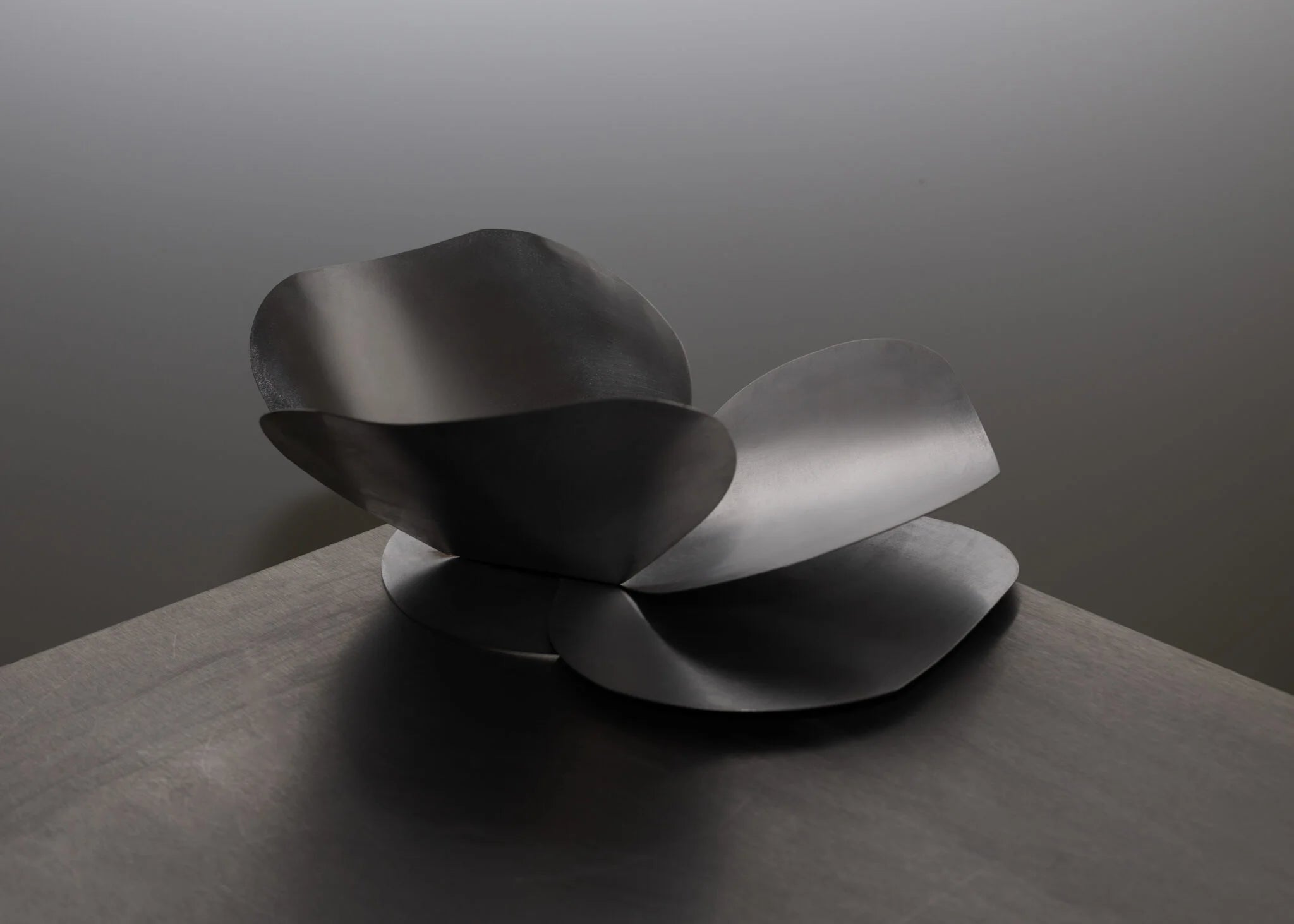 Mísa PETALE ocelová