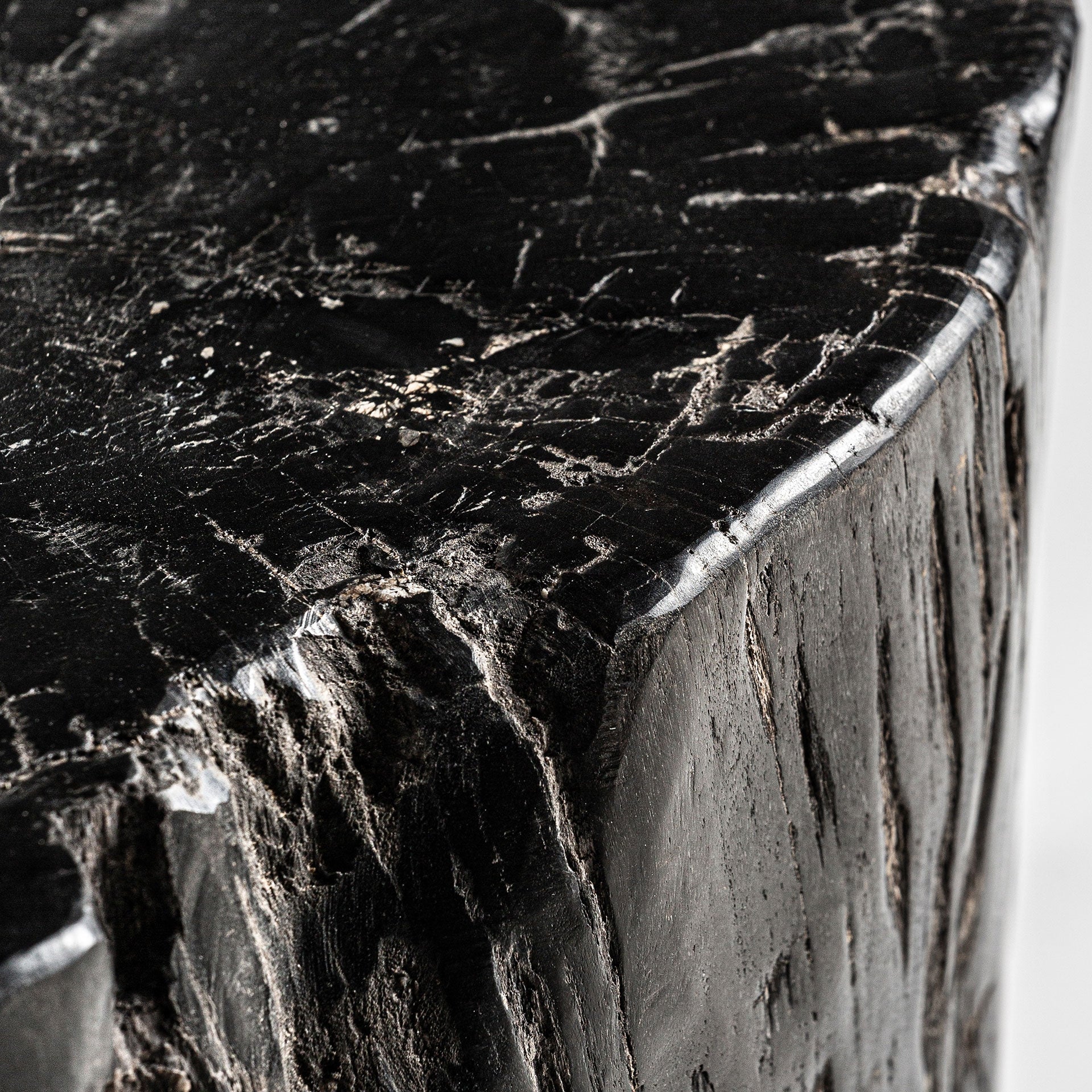 TELTI Side Table Black Petrified Wood