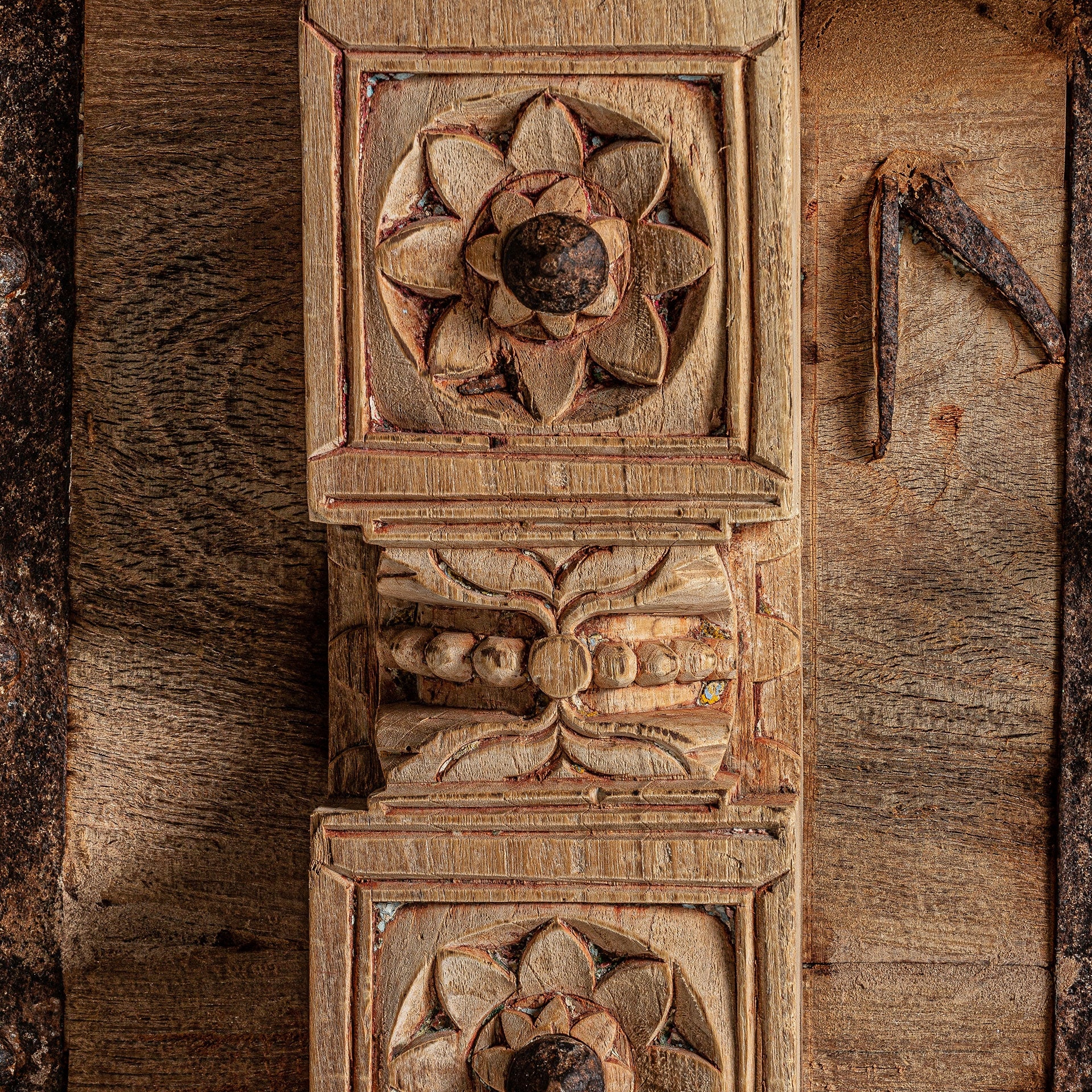 Truhla PHALODI mango dřevo