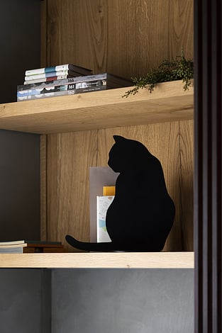 OMBRES DE CHATS Decoration black