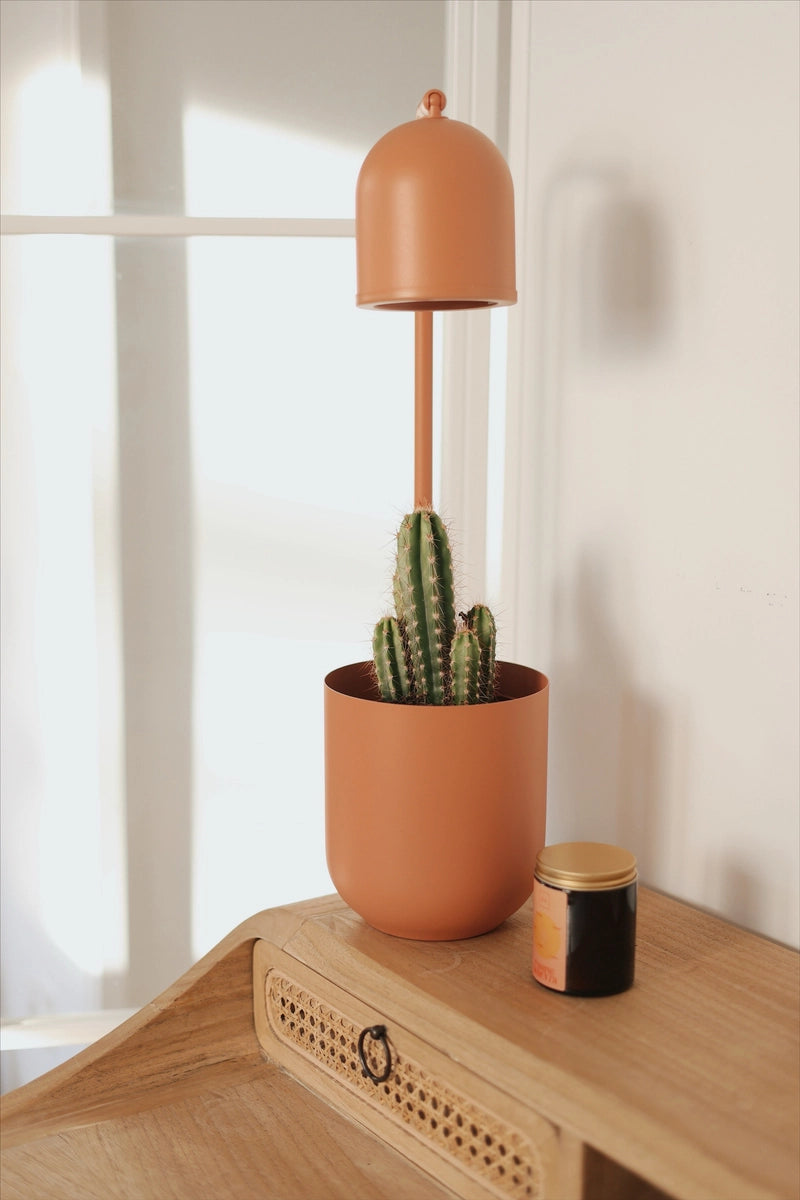 BOTANICA WOOD desk lamp terracotta