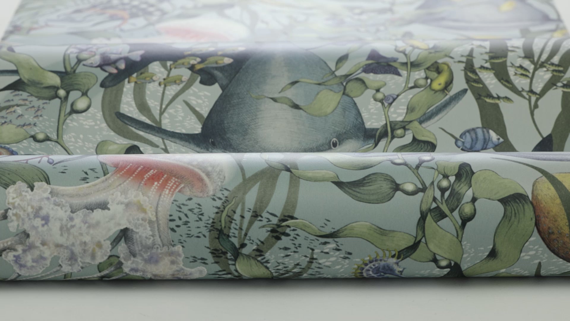 Tapeta dziecięca z motywem morskich zwierząt UNDERWATER MAGIC turkusowy