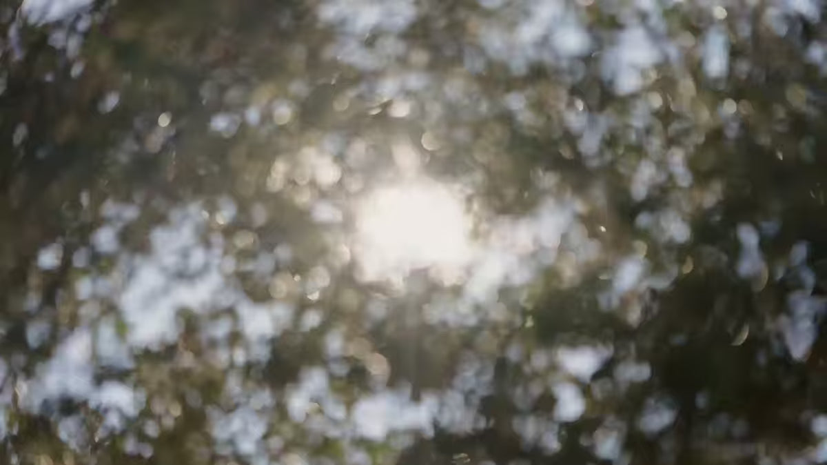 Joncols beige garden armchair with olive base