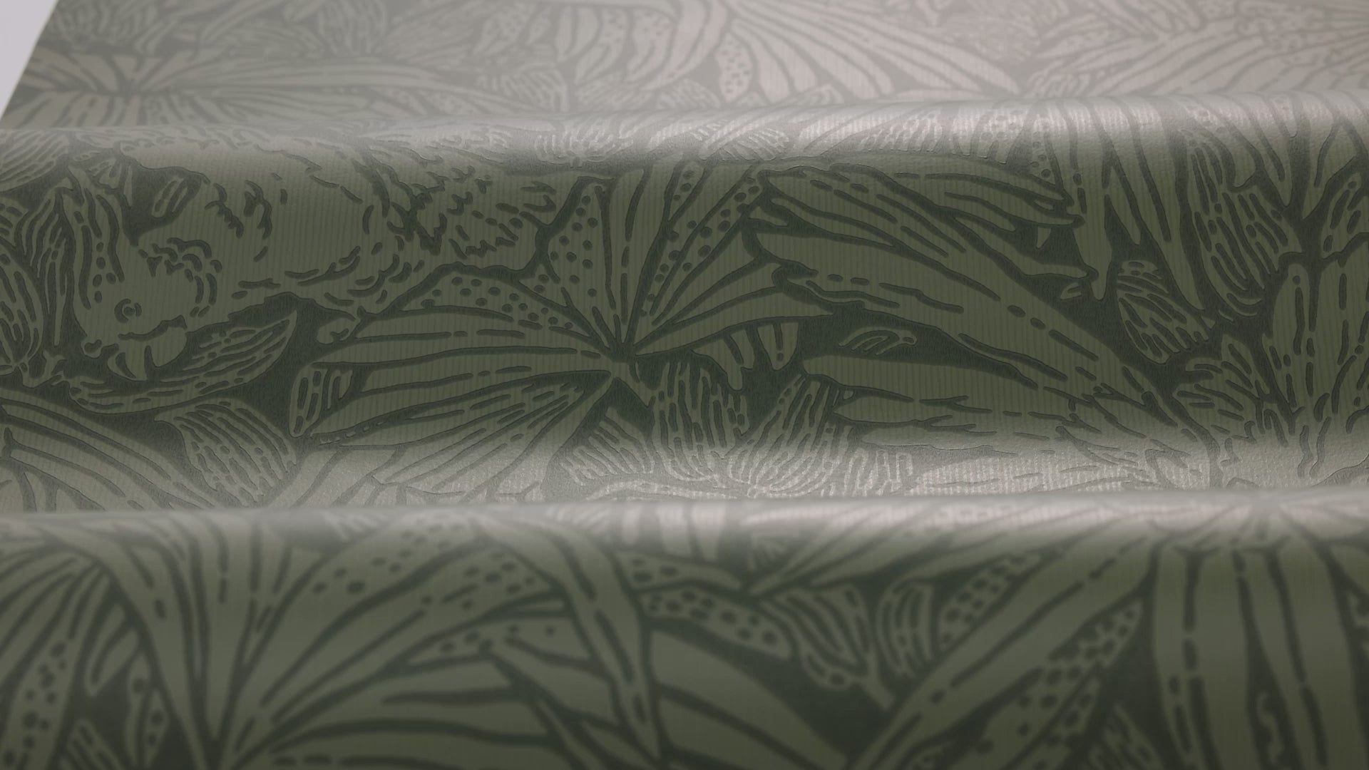 Tapeta s motivem zvířat HIDDEN PARROT zelená