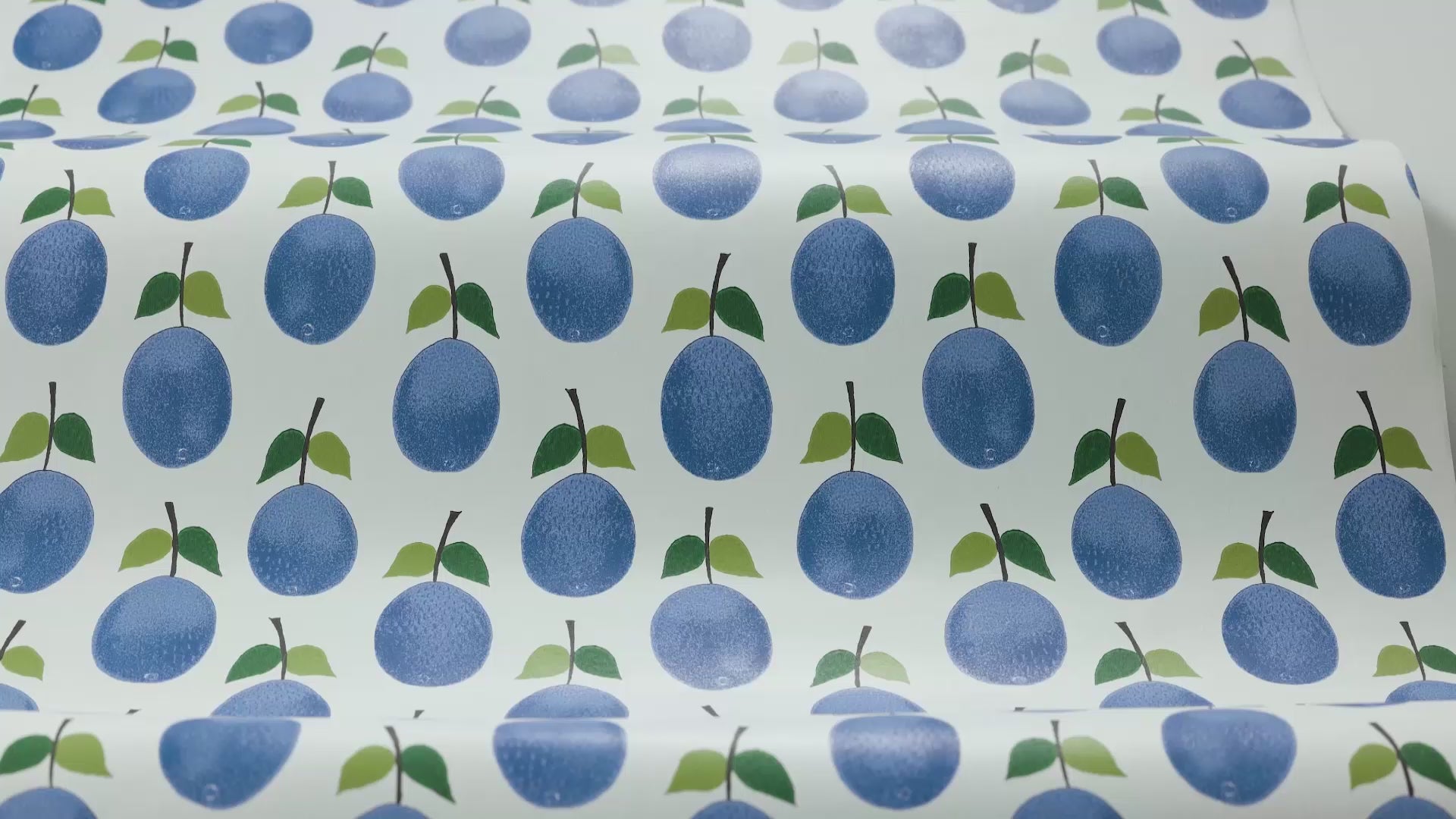 Tapeta s rostlinným motivem plodů PRUNUS bílá s modrou