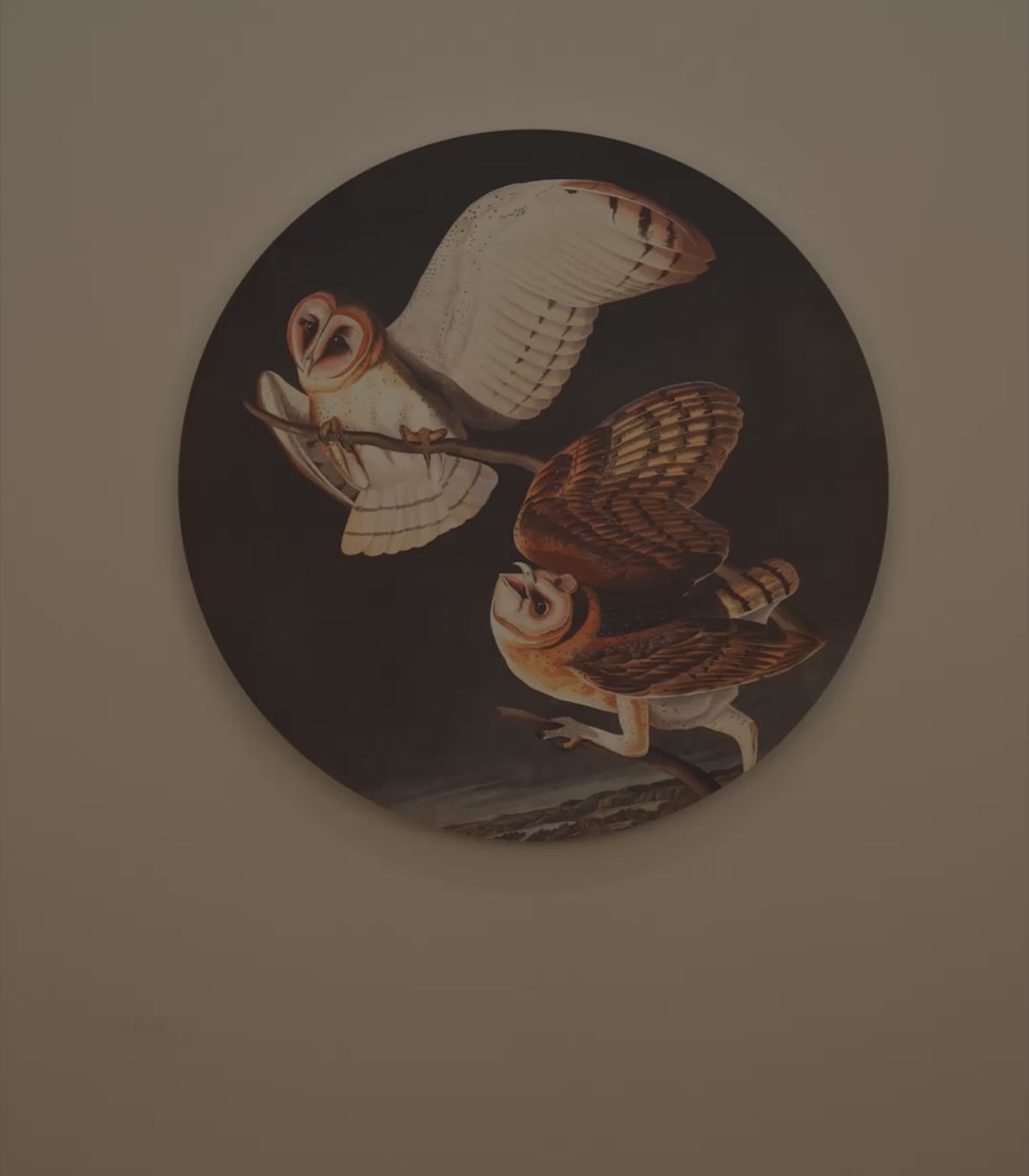 Lampa ścienna DOTS LIGHTING - OWLS ciemnoszary