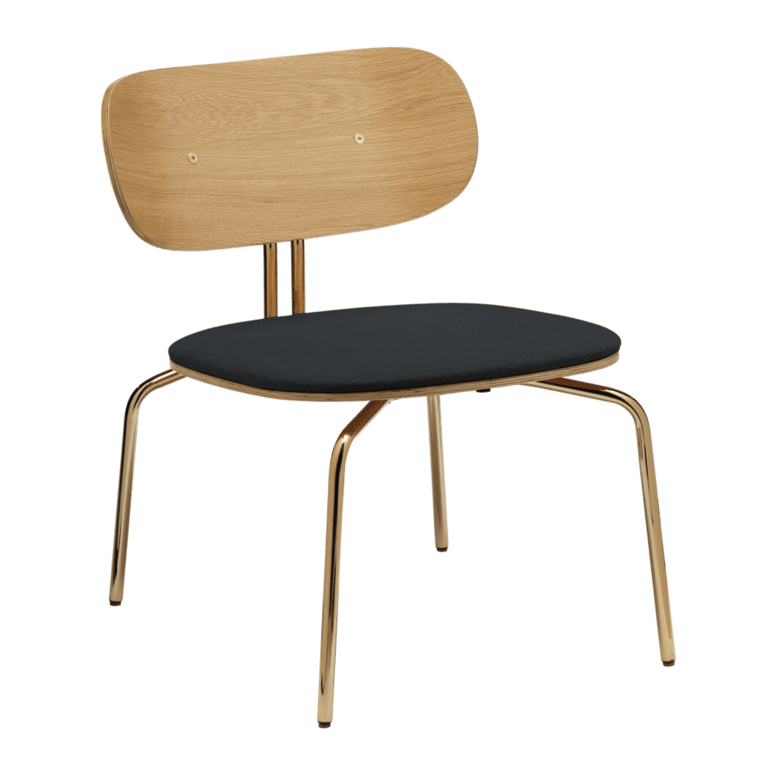 Anthracite curious armchair with a golden base