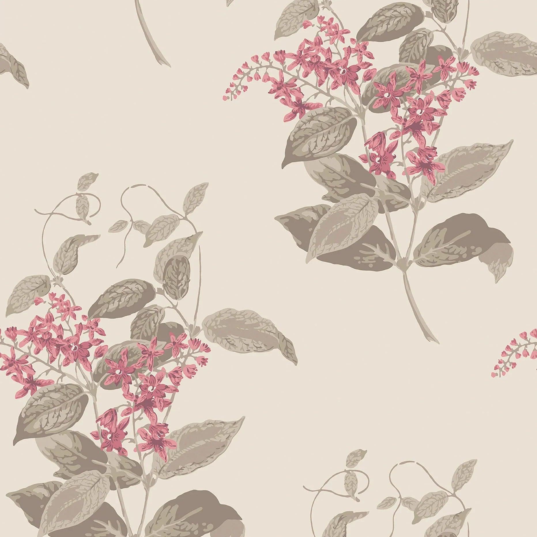 Tapeta ARCHIVE ANTHOLOGY - Madras Violet fuksja na pergaminie Cole & Son Default Title   Eye on Design