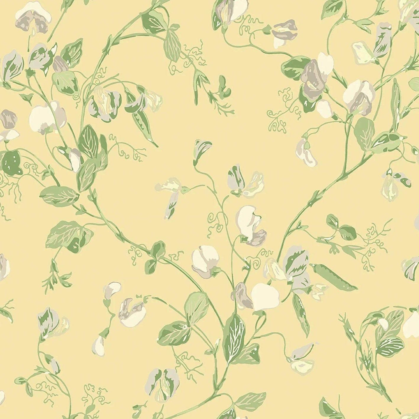 Tapeta ARCHIVE TRADITIONAL - Sweet Pea Cole & Son    Eye on Design