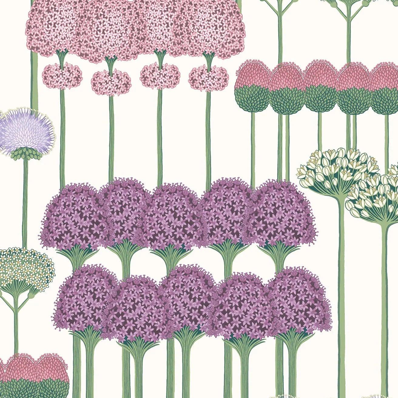 Tapeta BOTANICAL BOTANICA - Allium róż na bieli Cole & Son    Eye on Design