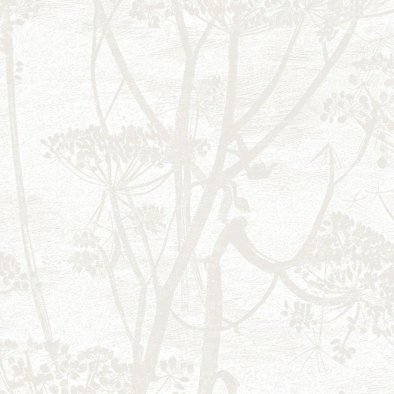 Tapeta CONTEMPORARY COLLECTION - Cow Parsley pergamin Cole & Son    Eye on Design