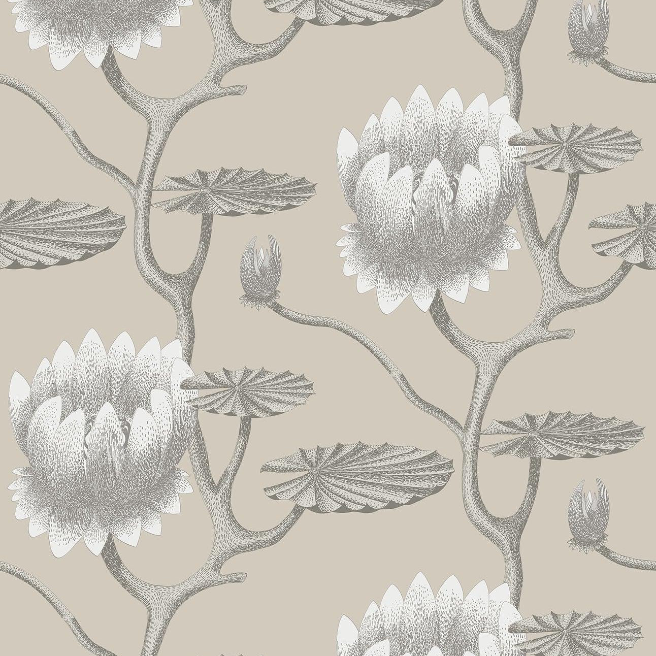 Tapeta CONTEMPORARY COLLECTION - Summer Lily biel na beżu Cole & Son    Eye on Design