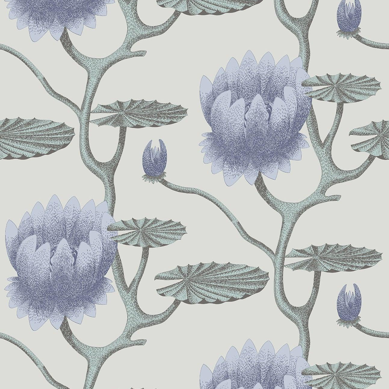 Tapeta CONTEMPORARY COLLECTION - Summer Lily niebieski na szarym Cole & Son Default Title   Eye on Design