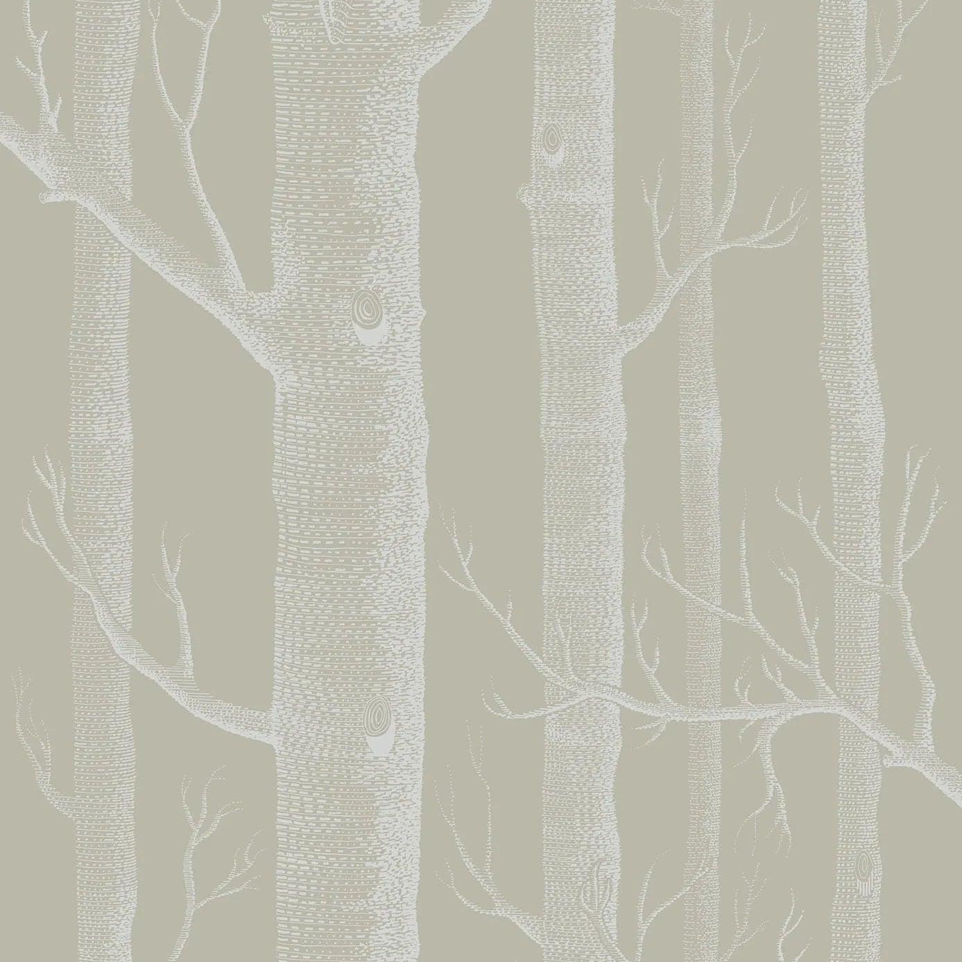 Tapeta CONTEMPORARY COLLECTION - Woods oliwkowy Cole & Son    Eye on Design