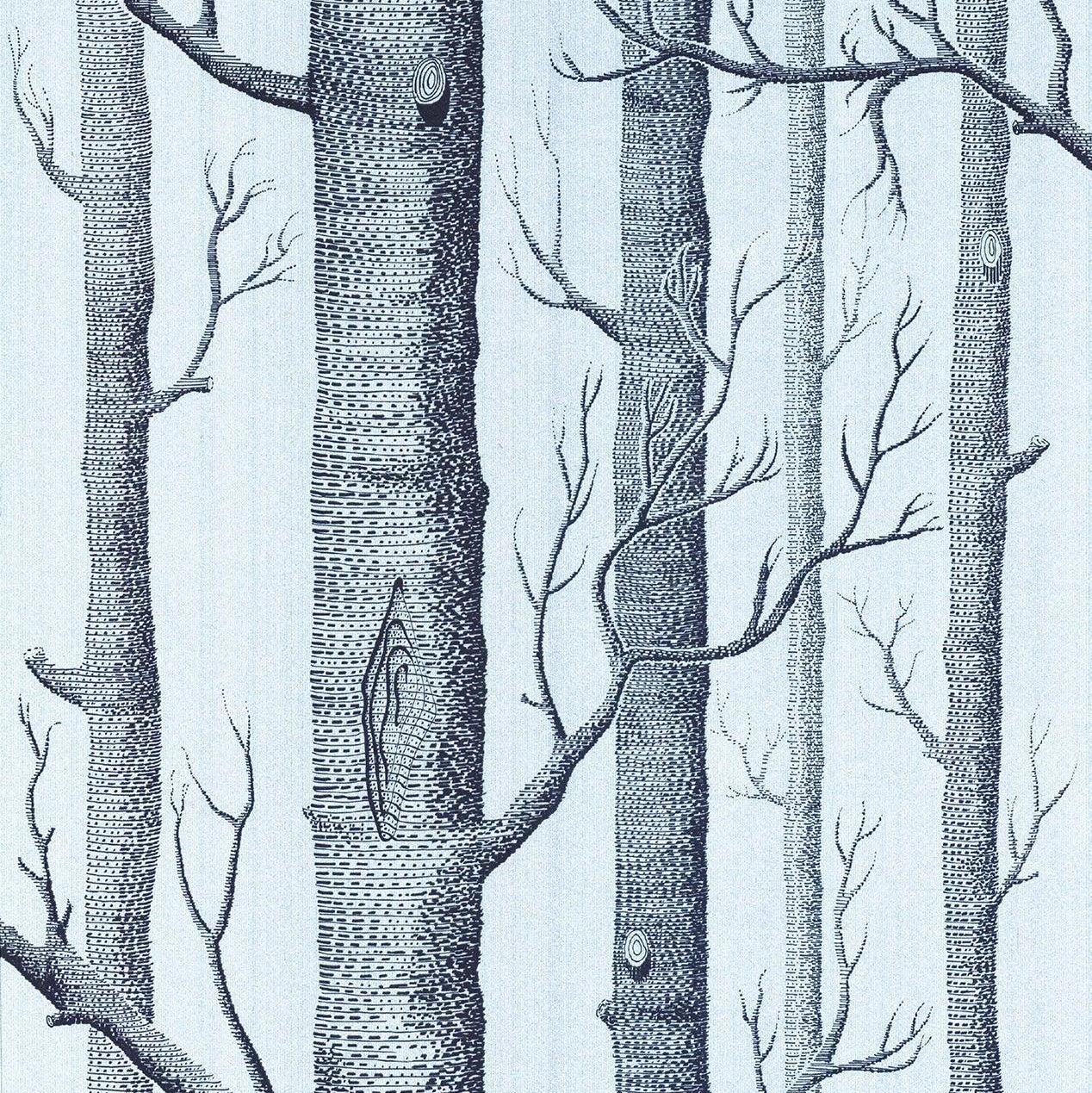 Tapeta CONTEMPORARY COLLECTION - Woods srebrna folia Cole & Son    Eye on Design