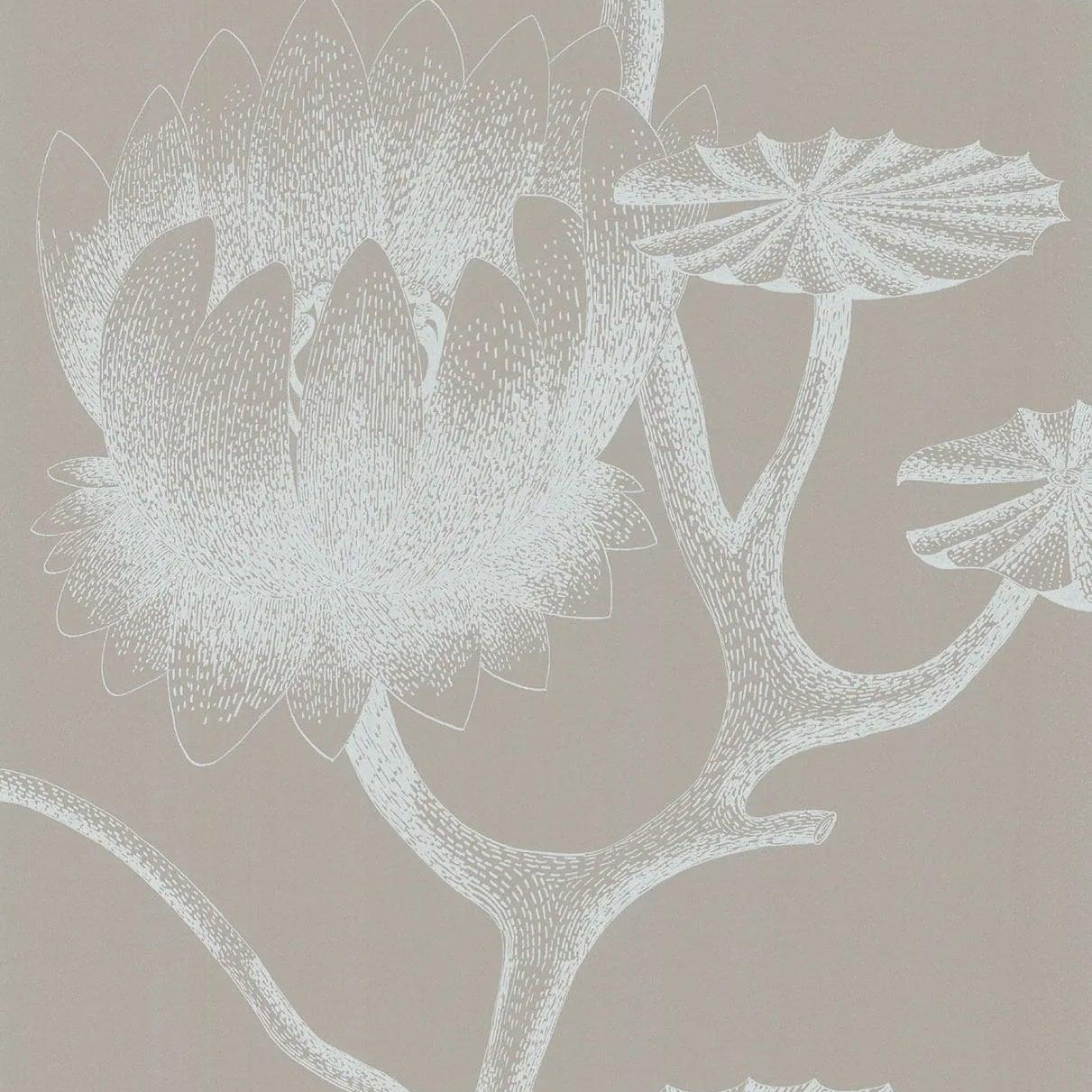 Tapeta CONTEMPORARY RESTYLED - Lily beżowy Cole & Son Default Title   Eye on Design