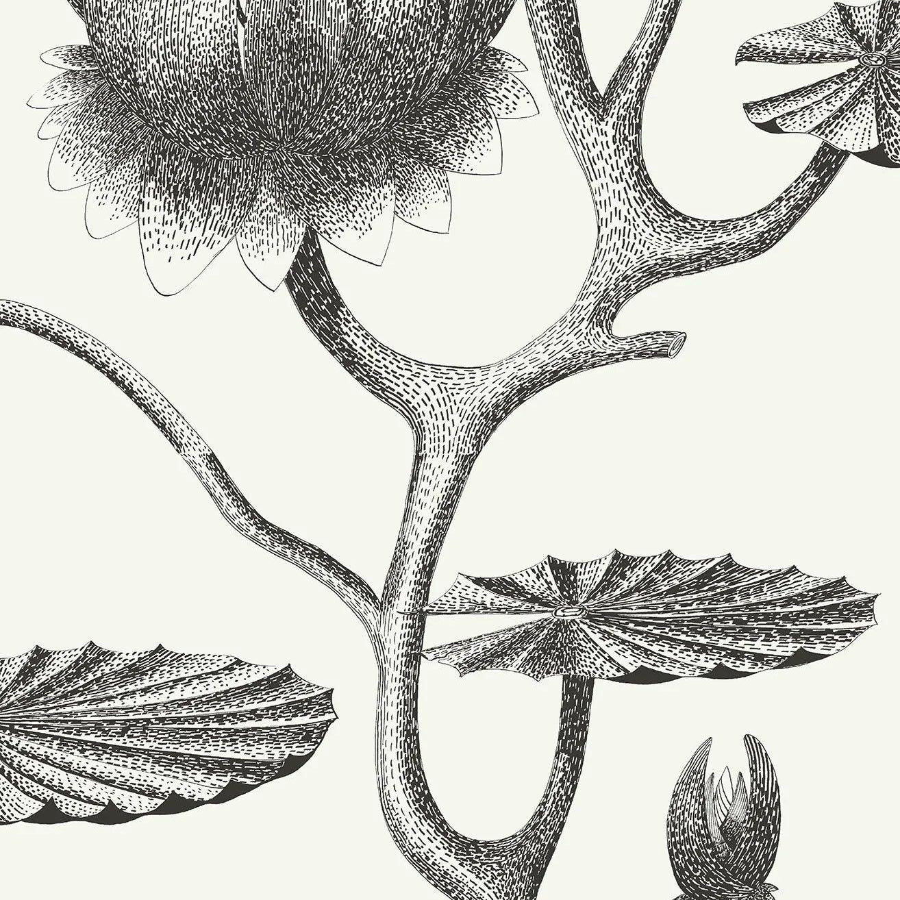 Tapeta CONTEMPORARY RESTYLED - Lily biały Cole & Son    Eye on Design